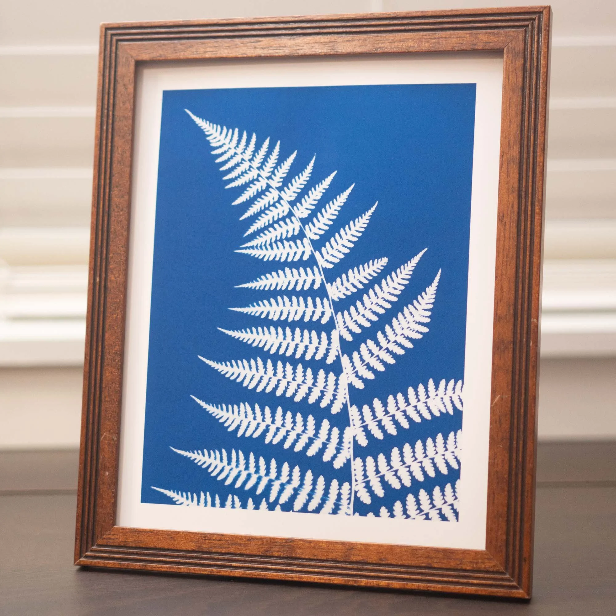 Cyanotype art print in a frame