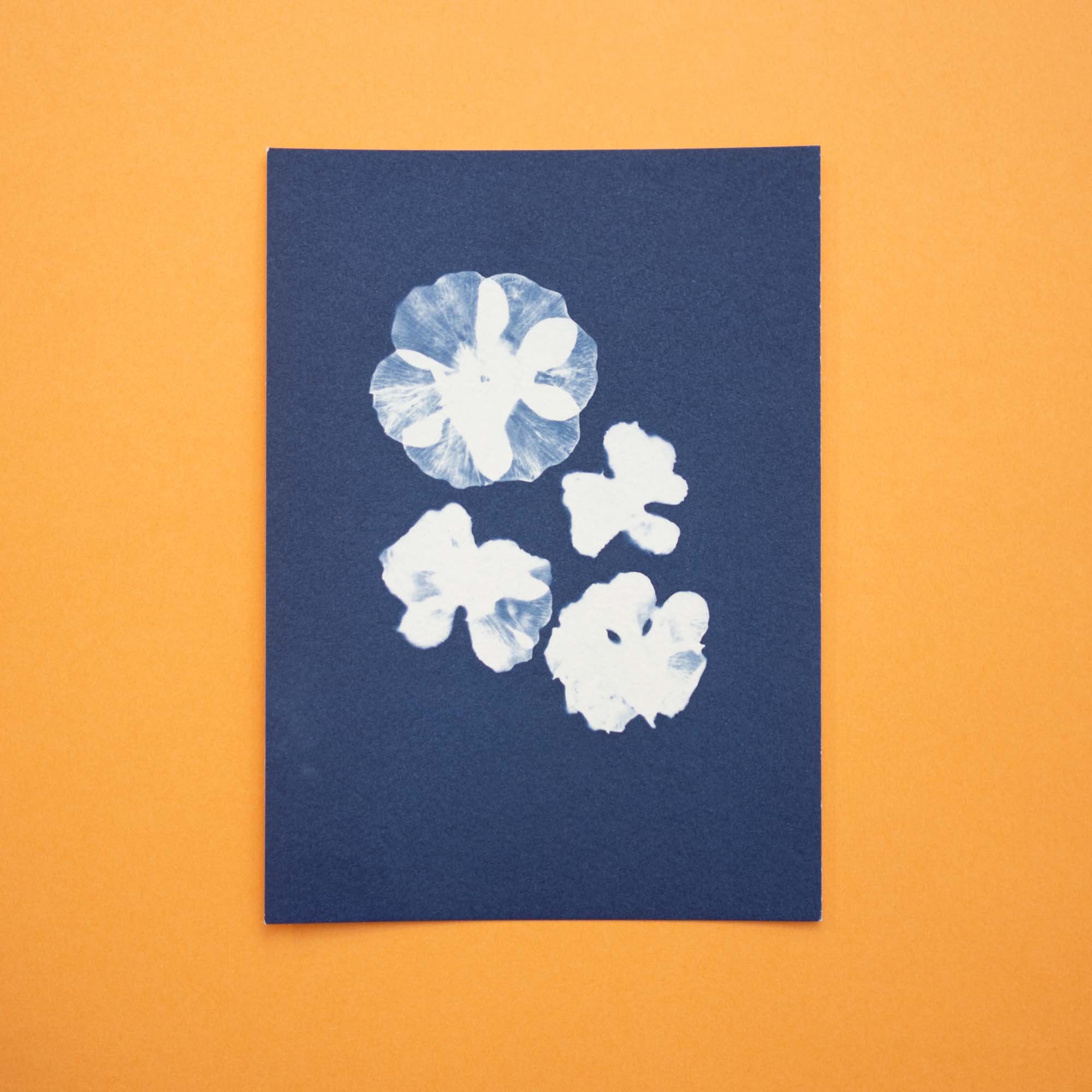 Botanical Cyanotype (25B07) (Original)