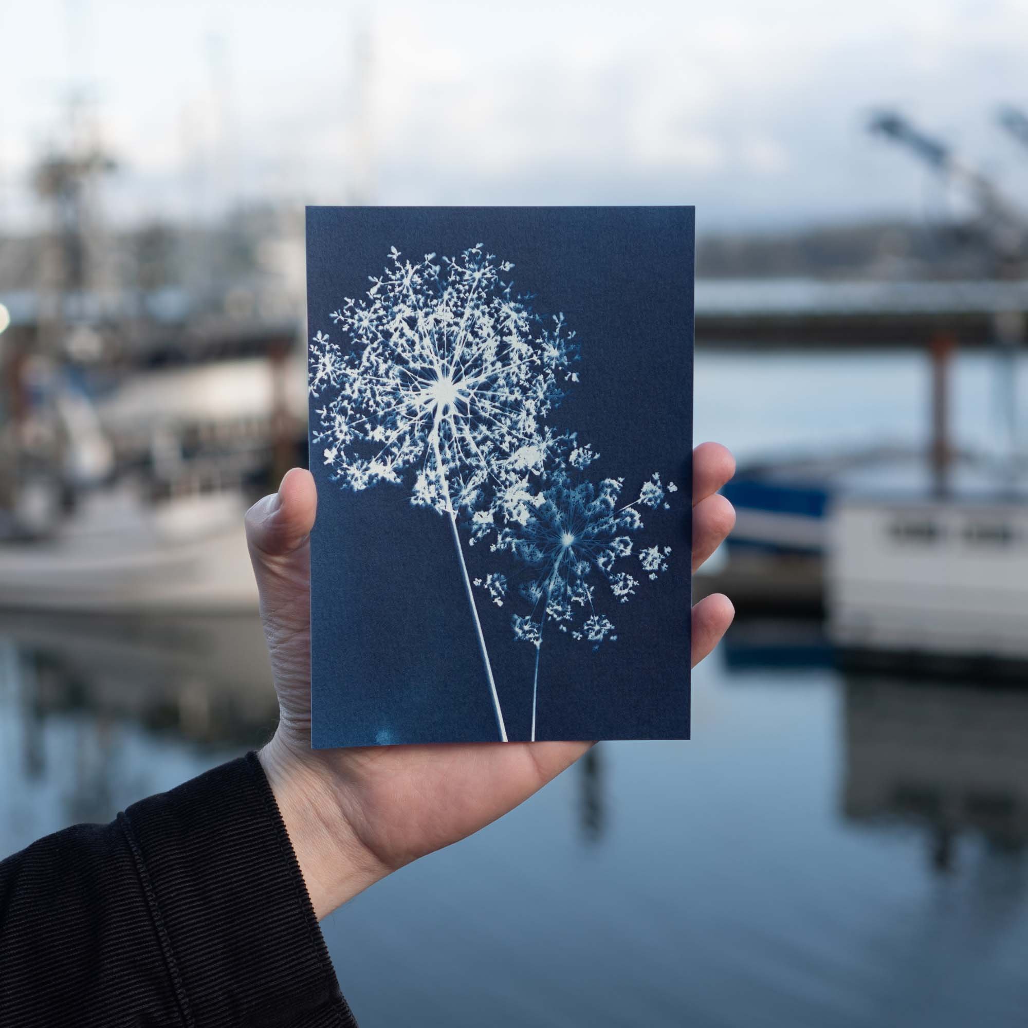 Cyanotype