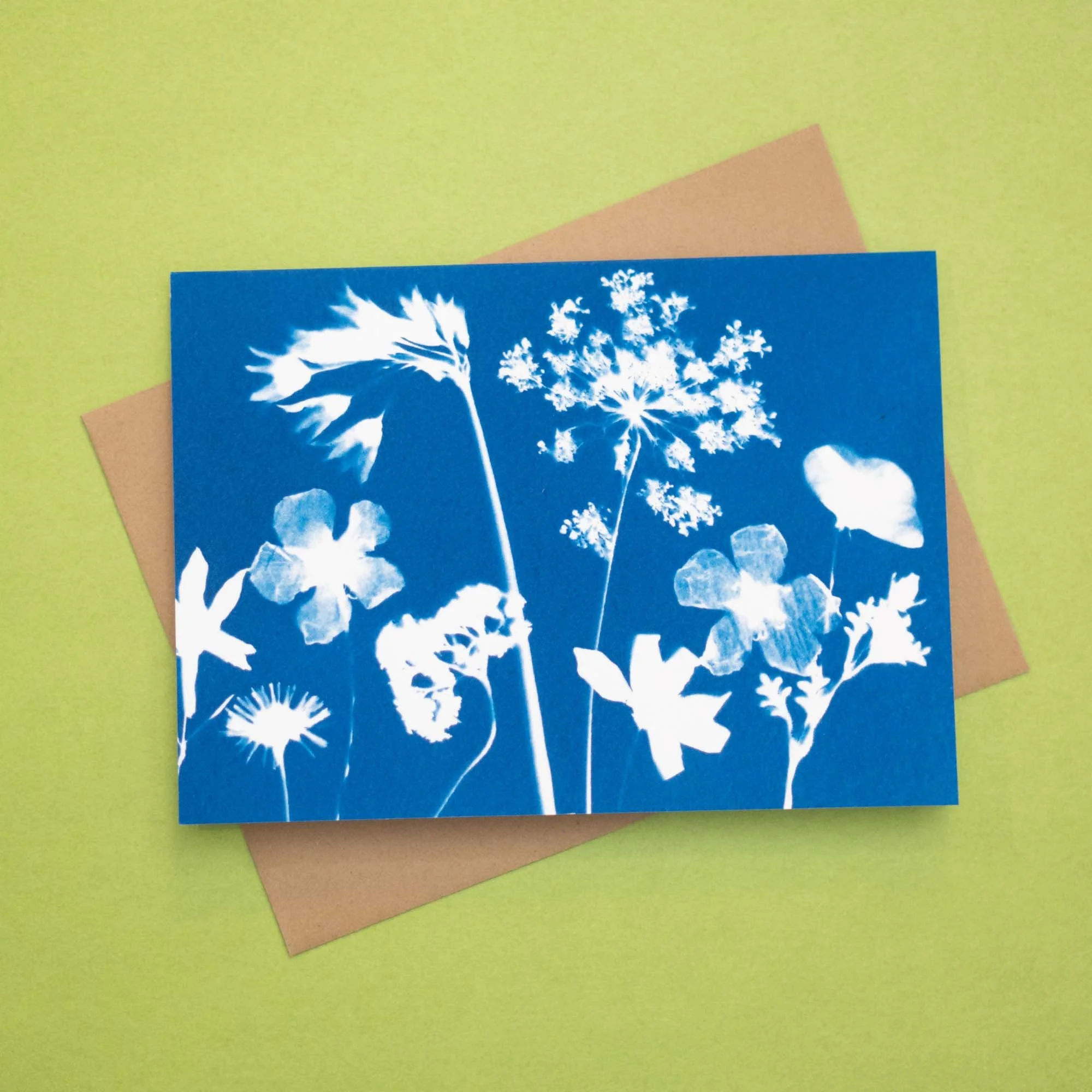 Botanical cyanotype notecard with envelope
