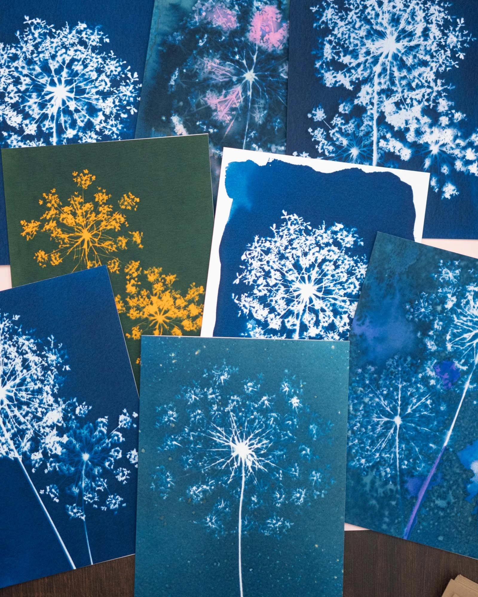 Cyanotype notecards laying in a pile