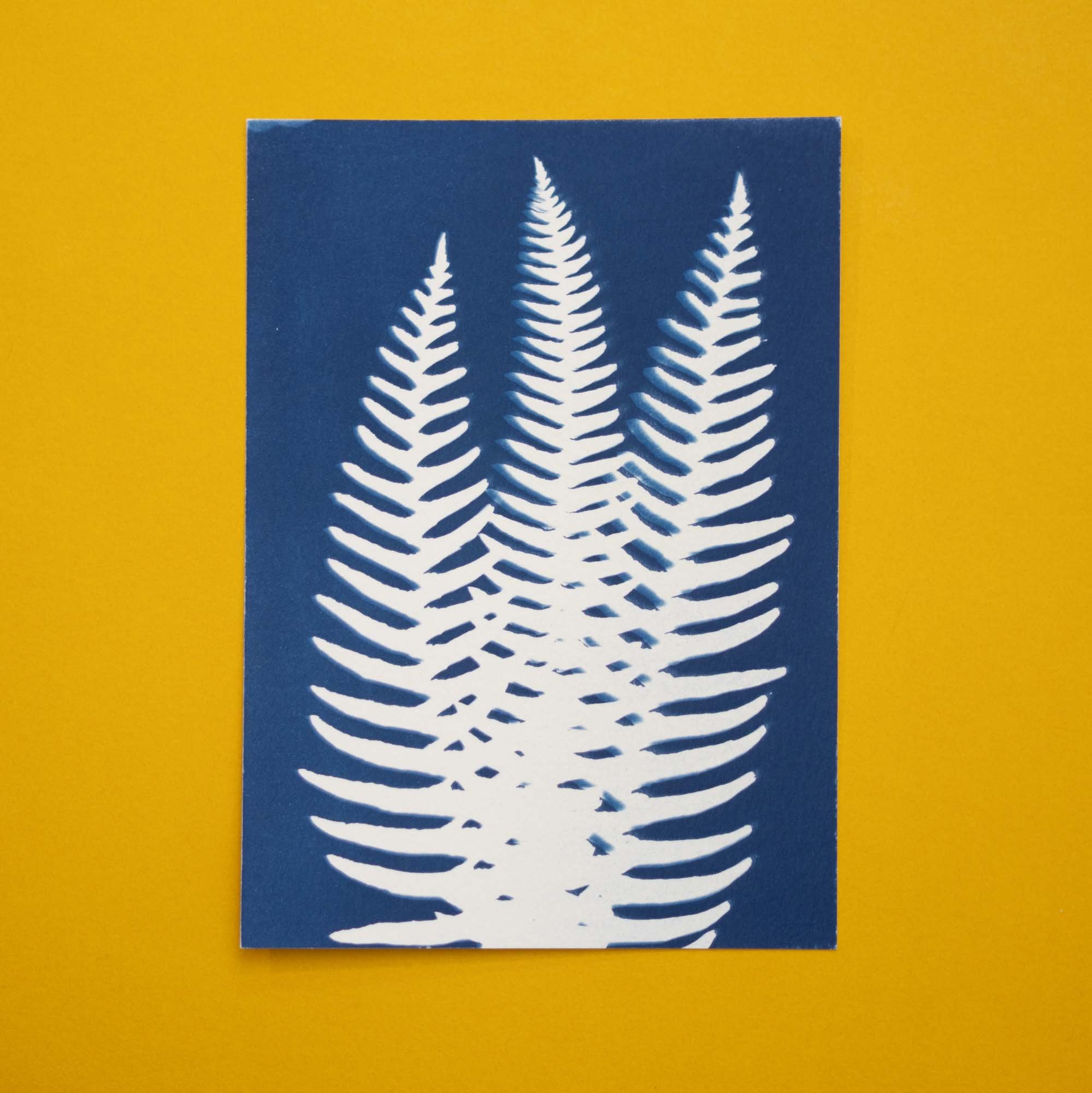 Botanical Cyanotype (25B06) (Original)