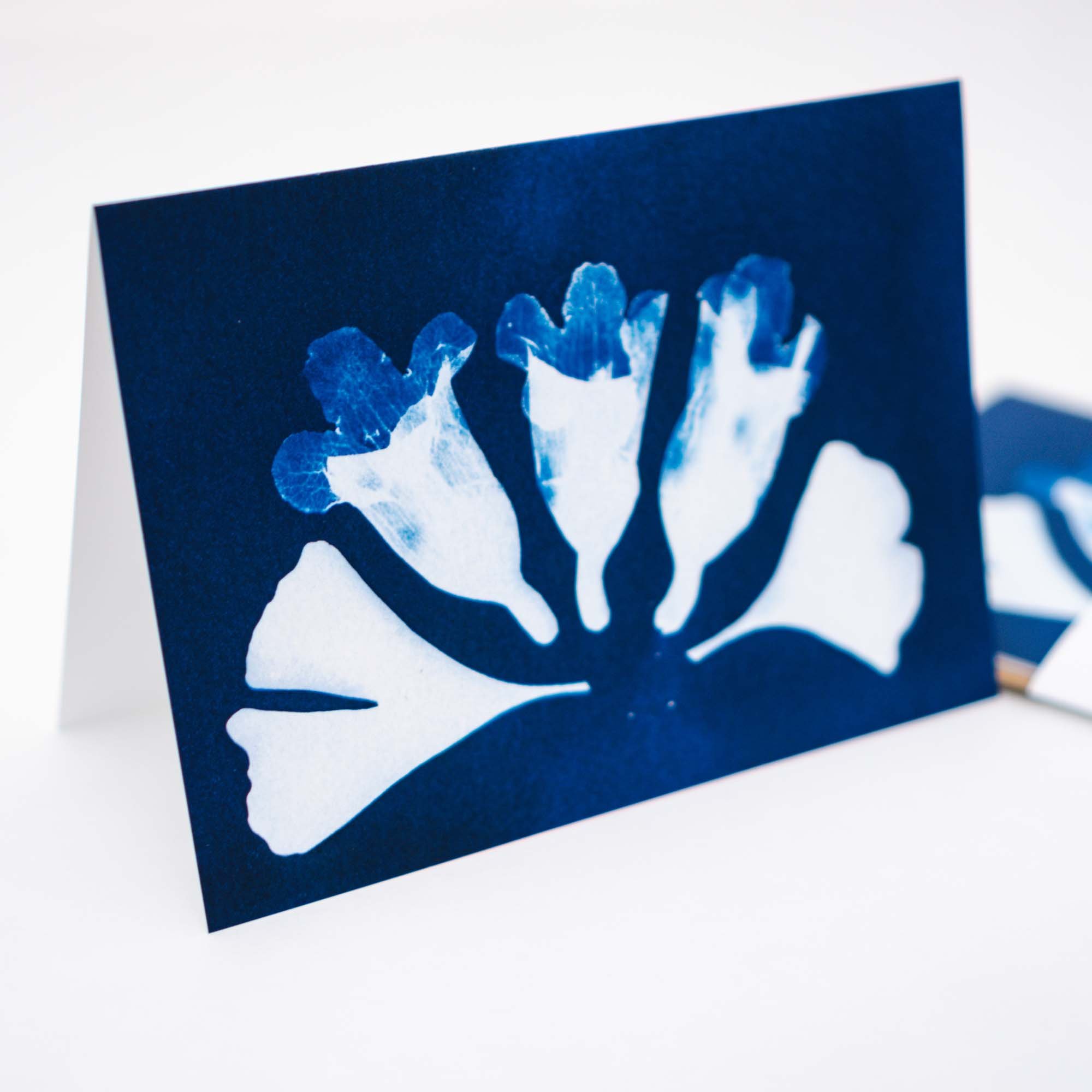 Cyanotype Notecard Set