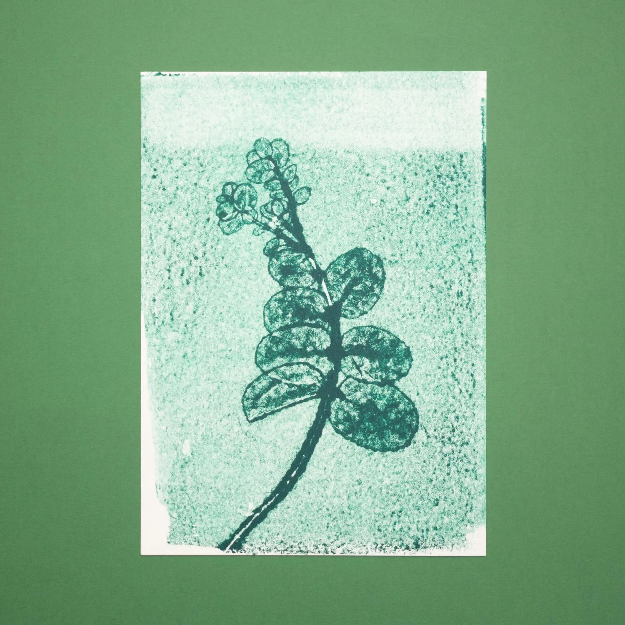 Botanical Monoprint (26B06) (Original)