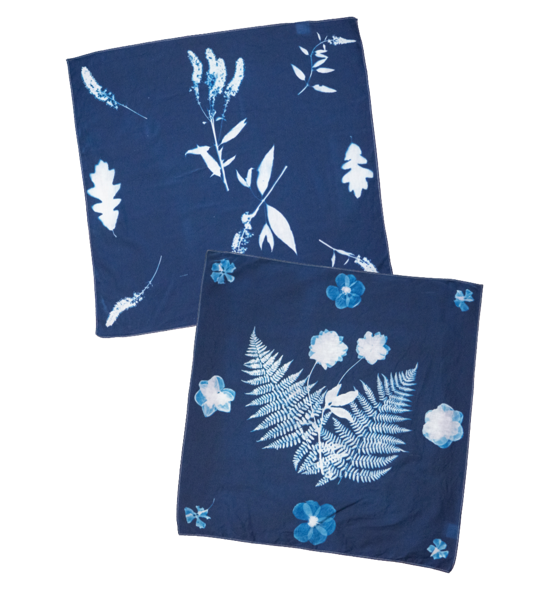 Cyantotype Bandanas