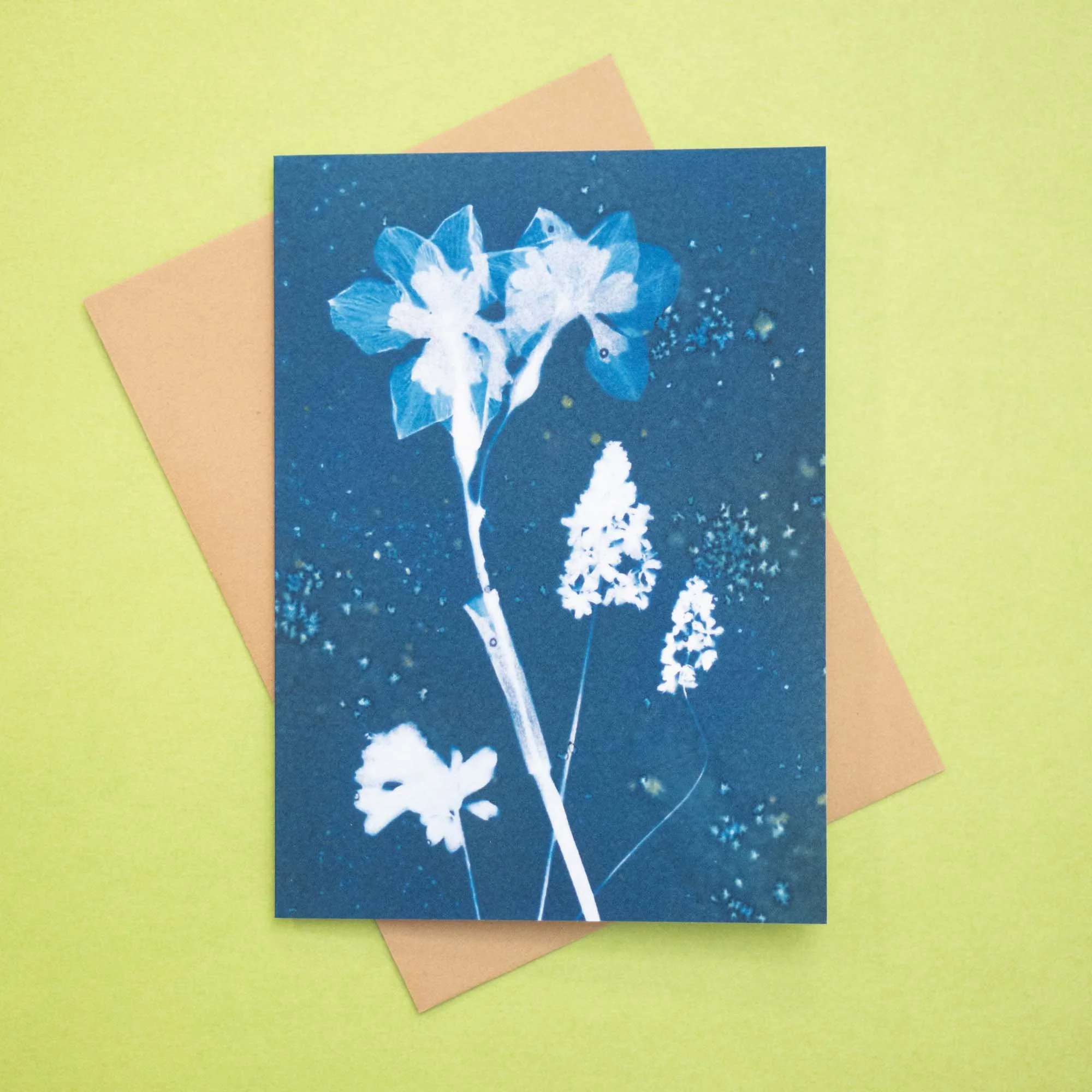 Botanical cyanotype notecard with envelope