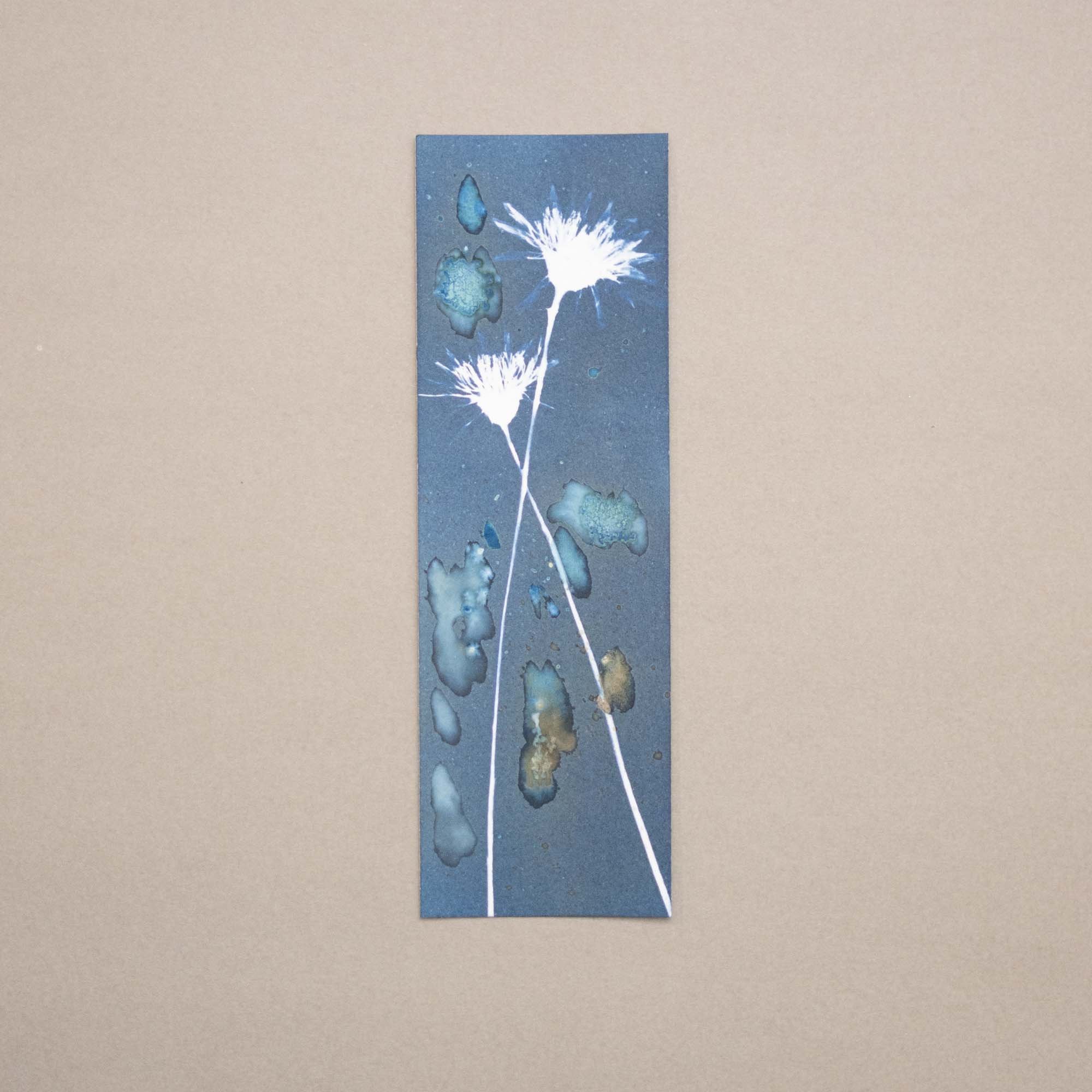 Botanical cyanotype