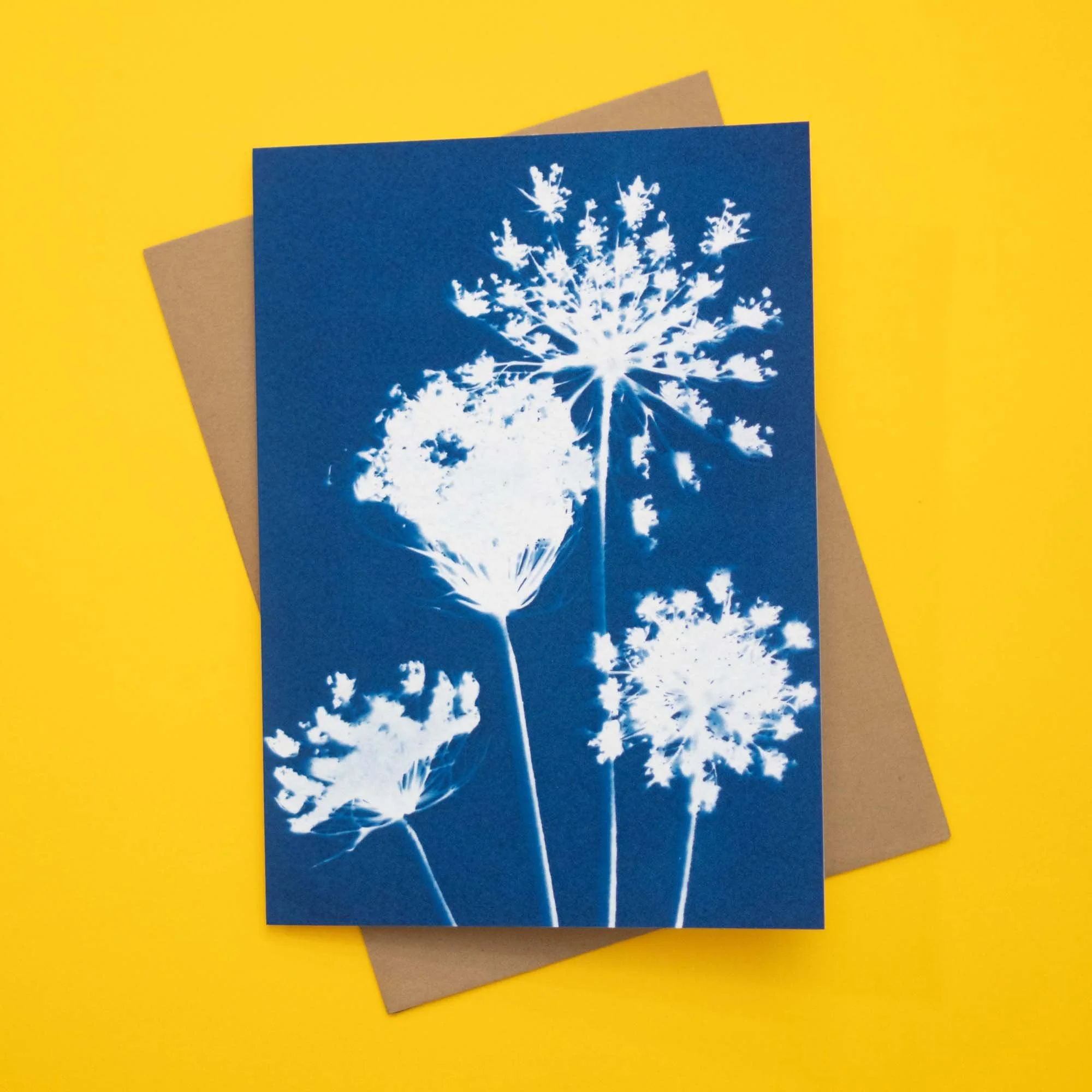 Cyanotype notecard and envelope