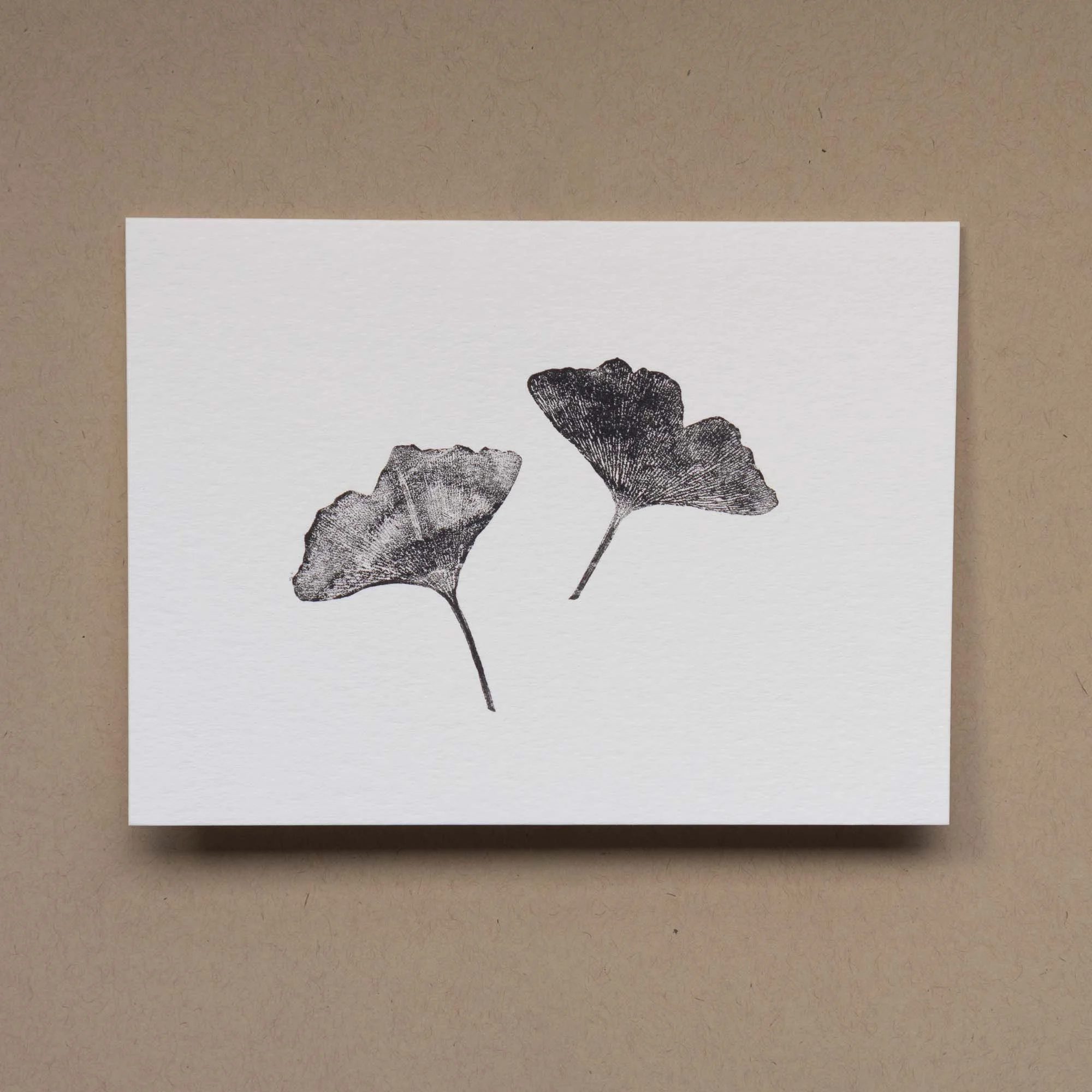 Ginkgo Leaves