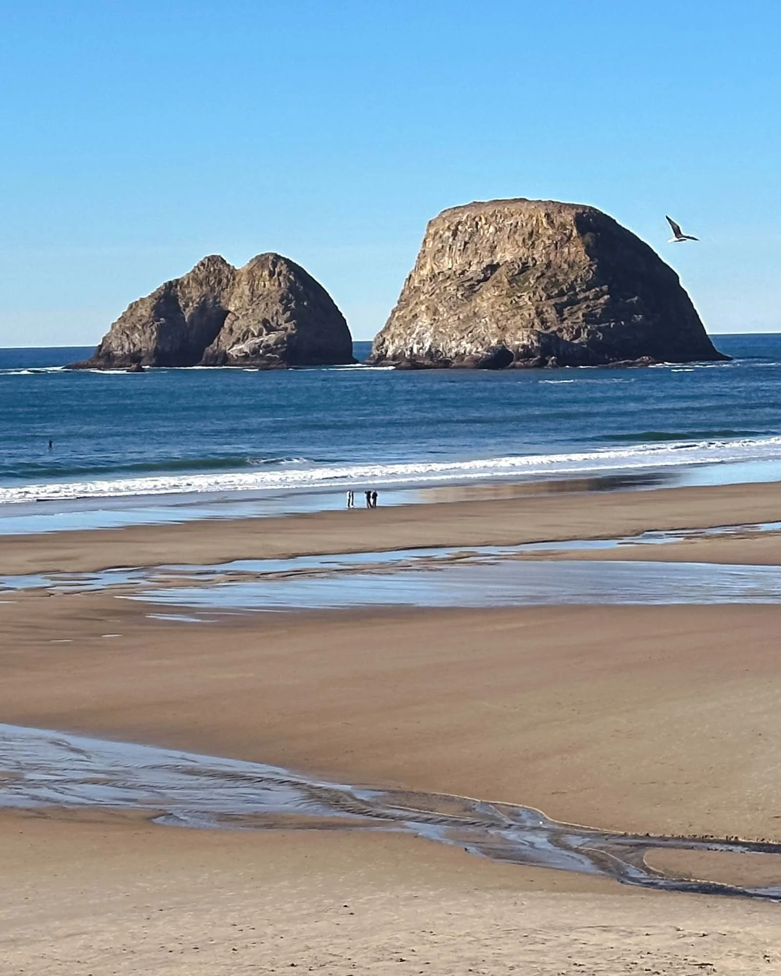 Cape Meares