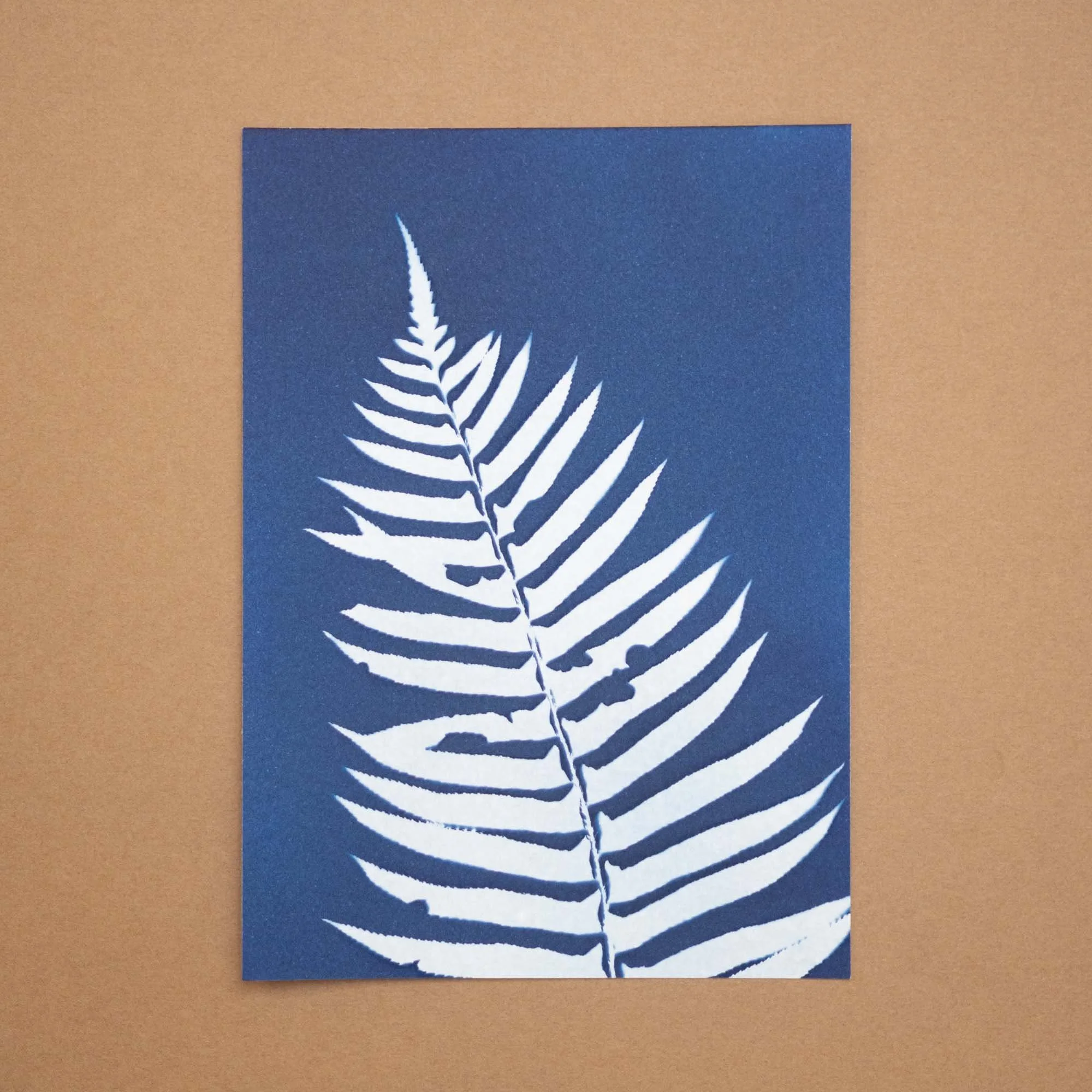 Botanical Cyanotype (26B03) (Original)