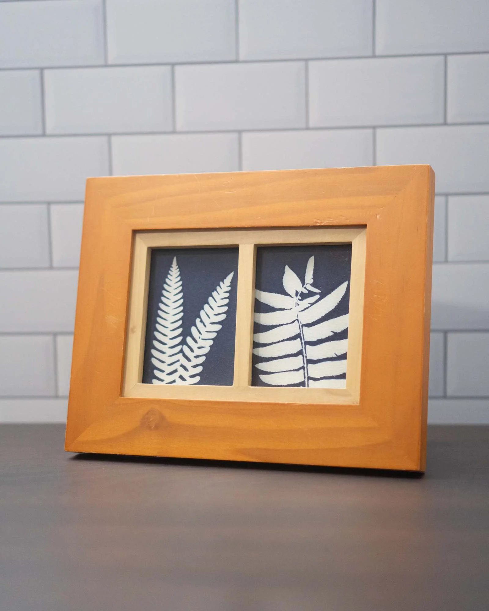 Thrifted Framed Original (Cyanotype)