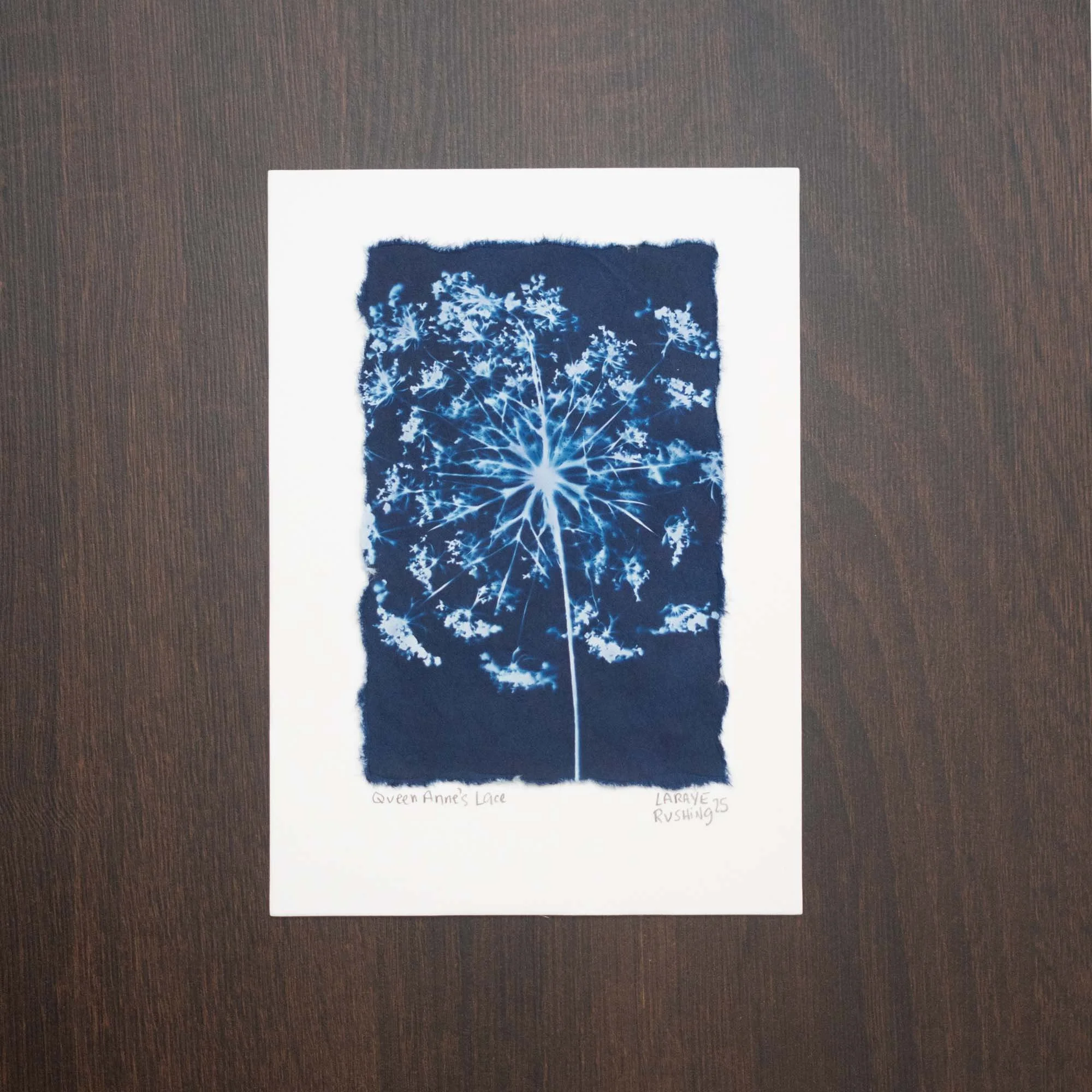 Botanical cyanotype