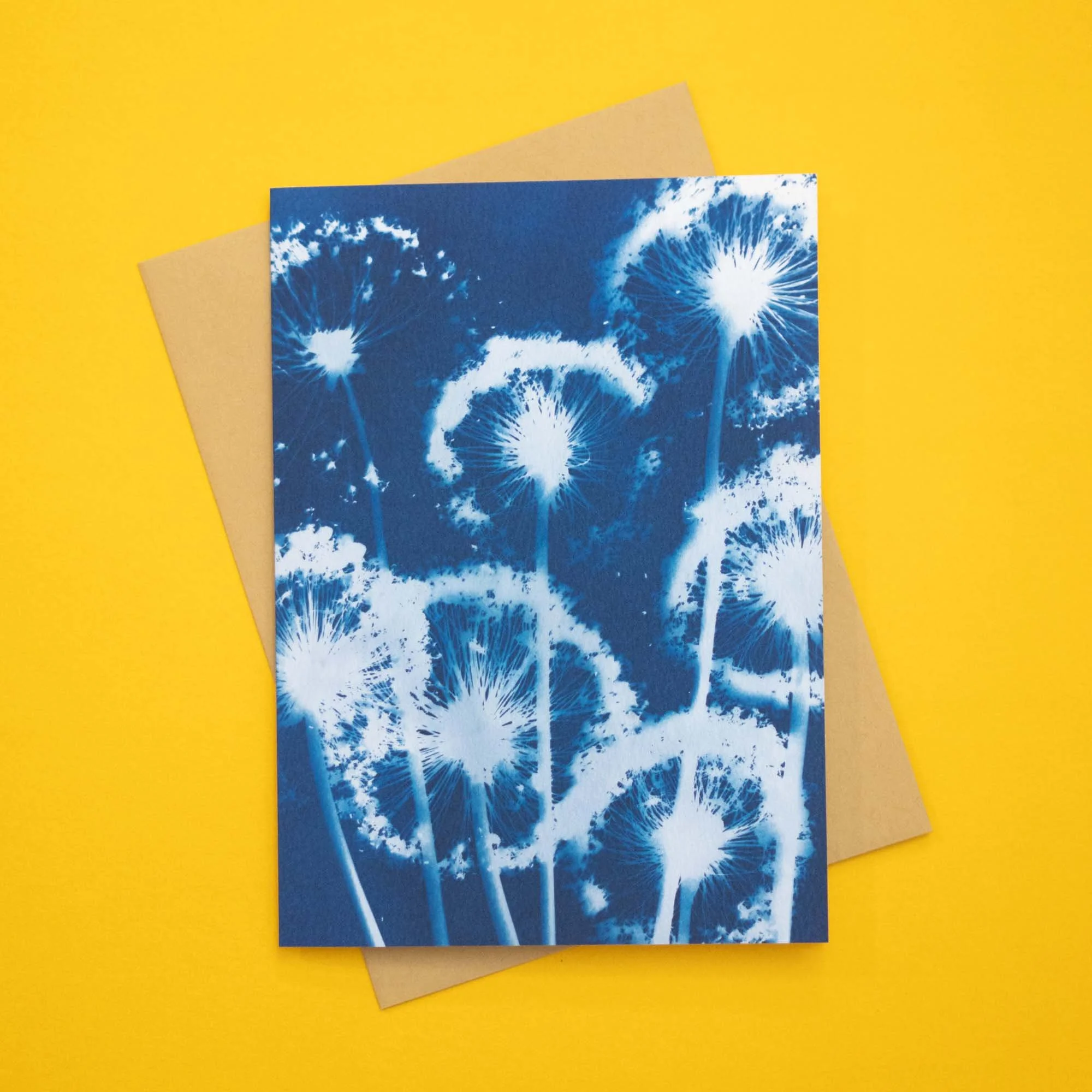 Cyanotype Notecard (C26) - Alliums