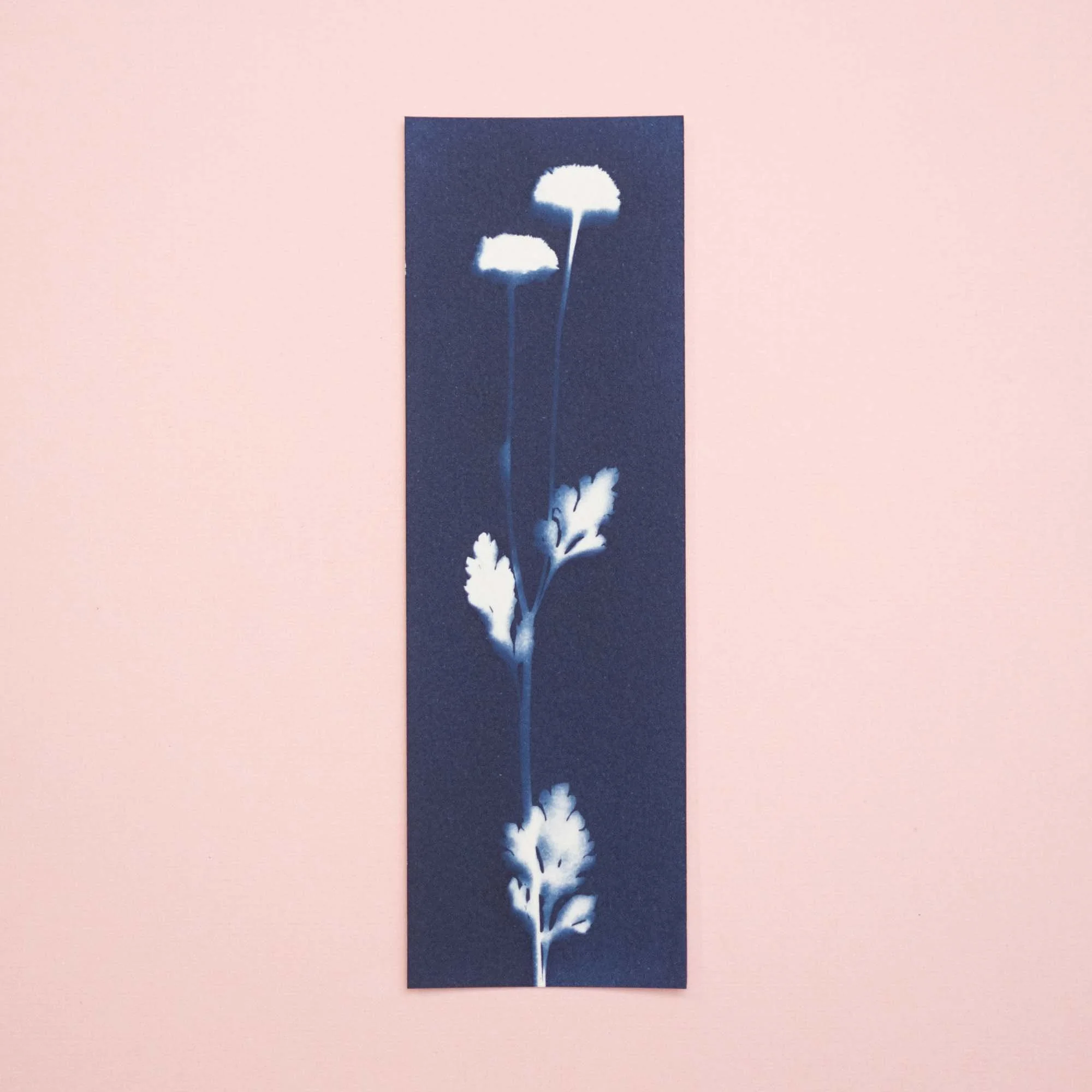 Botanical Cyanotype Bookmark (26B17) (Original)