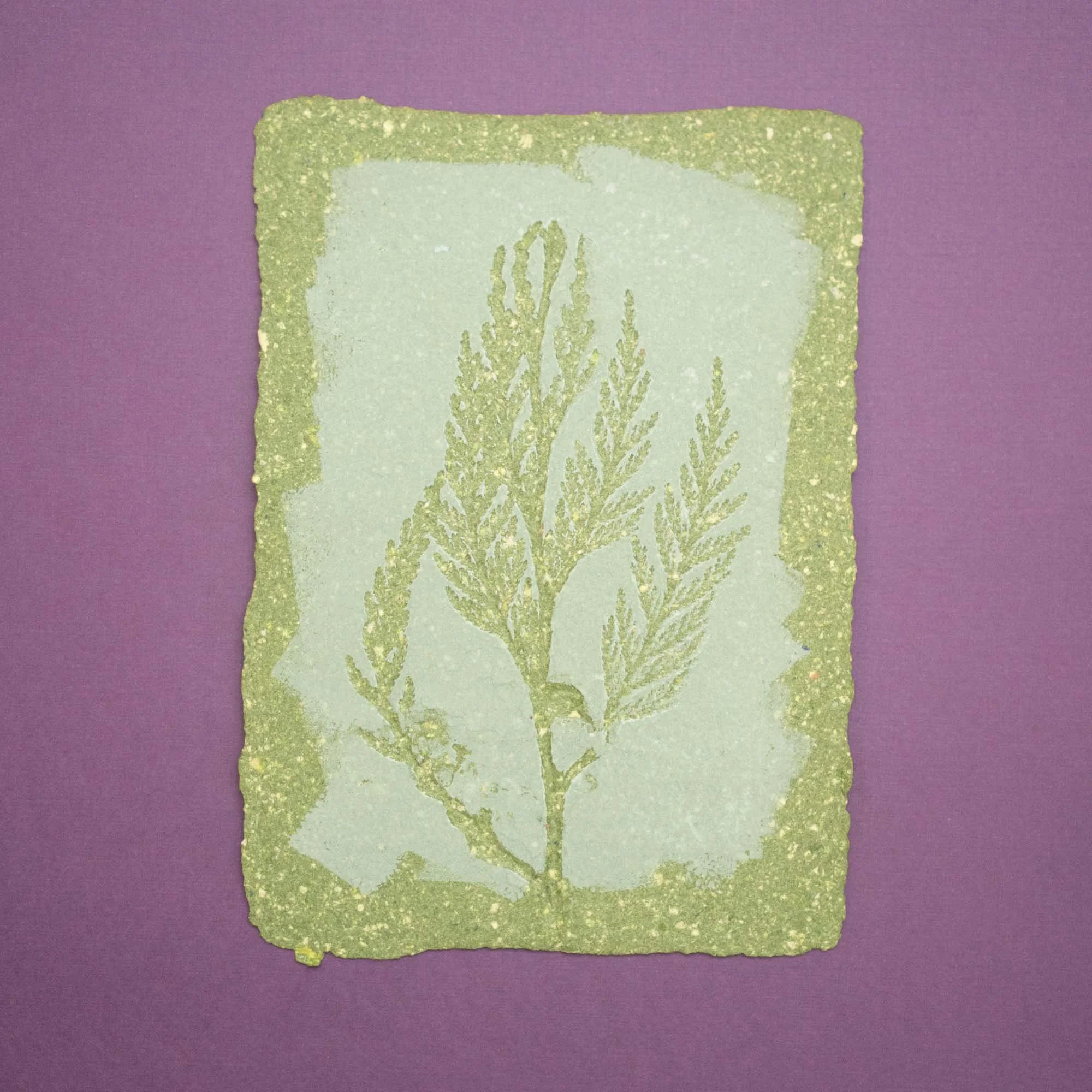 Botanical Monoprint (26D04) (Original)