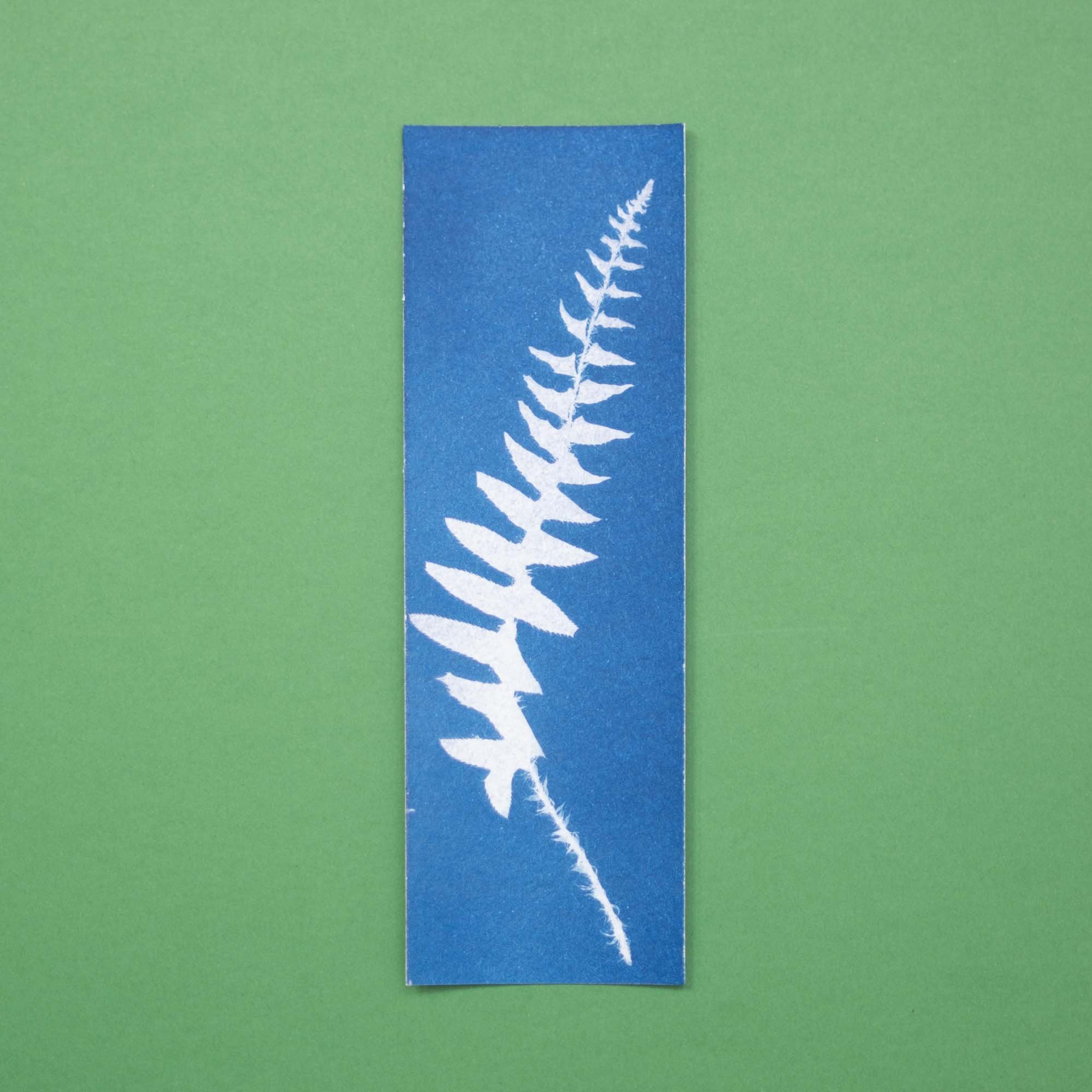 Botanical cyanotype
