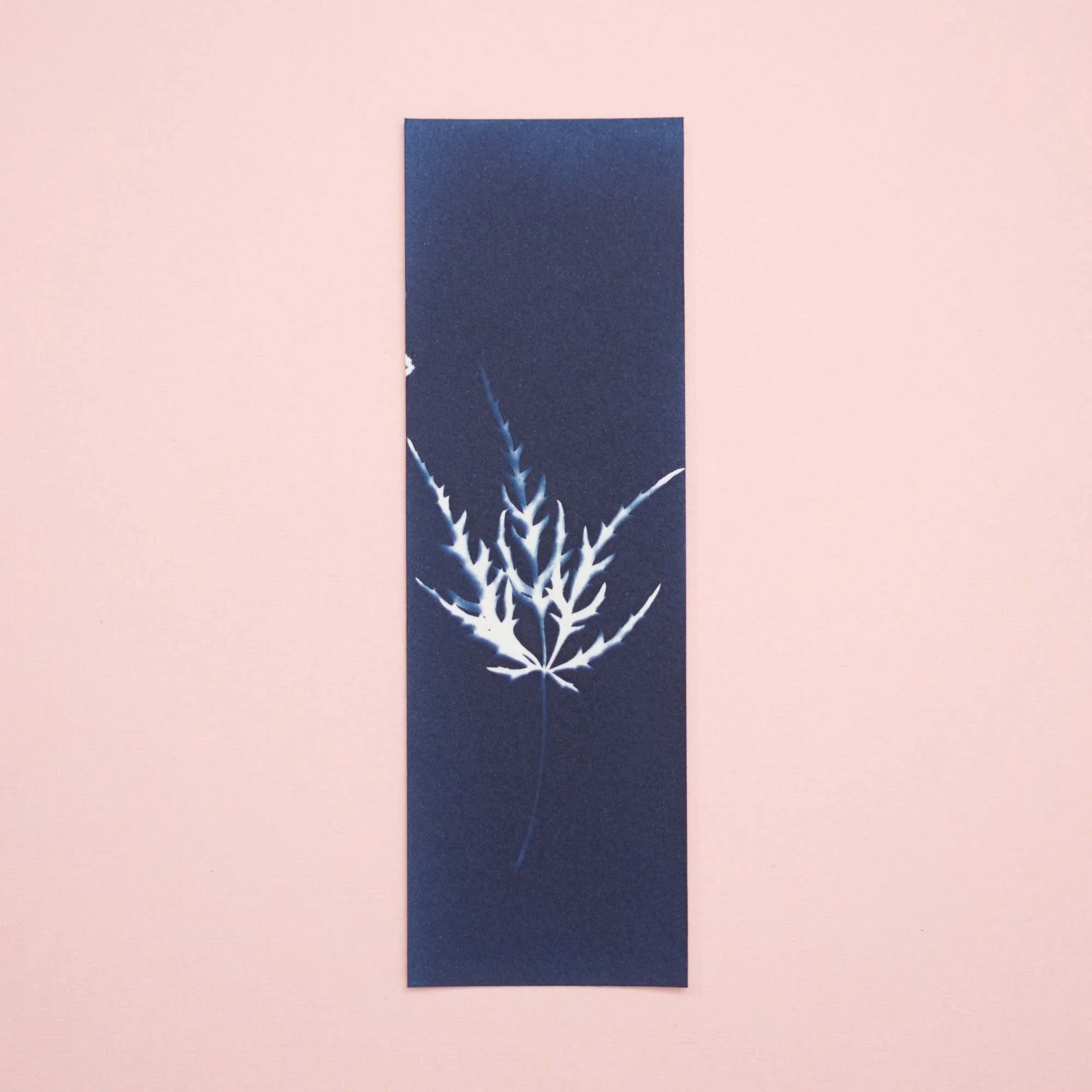 Cyanotype Bookmark