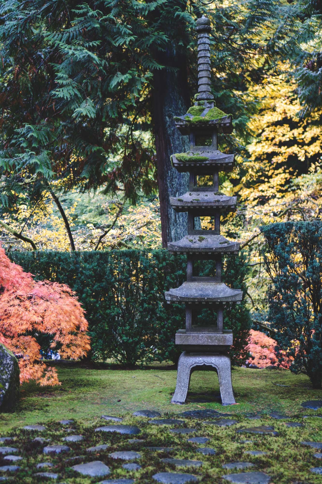 Portland Japanese Garden - 11042023 18 - web.jpg