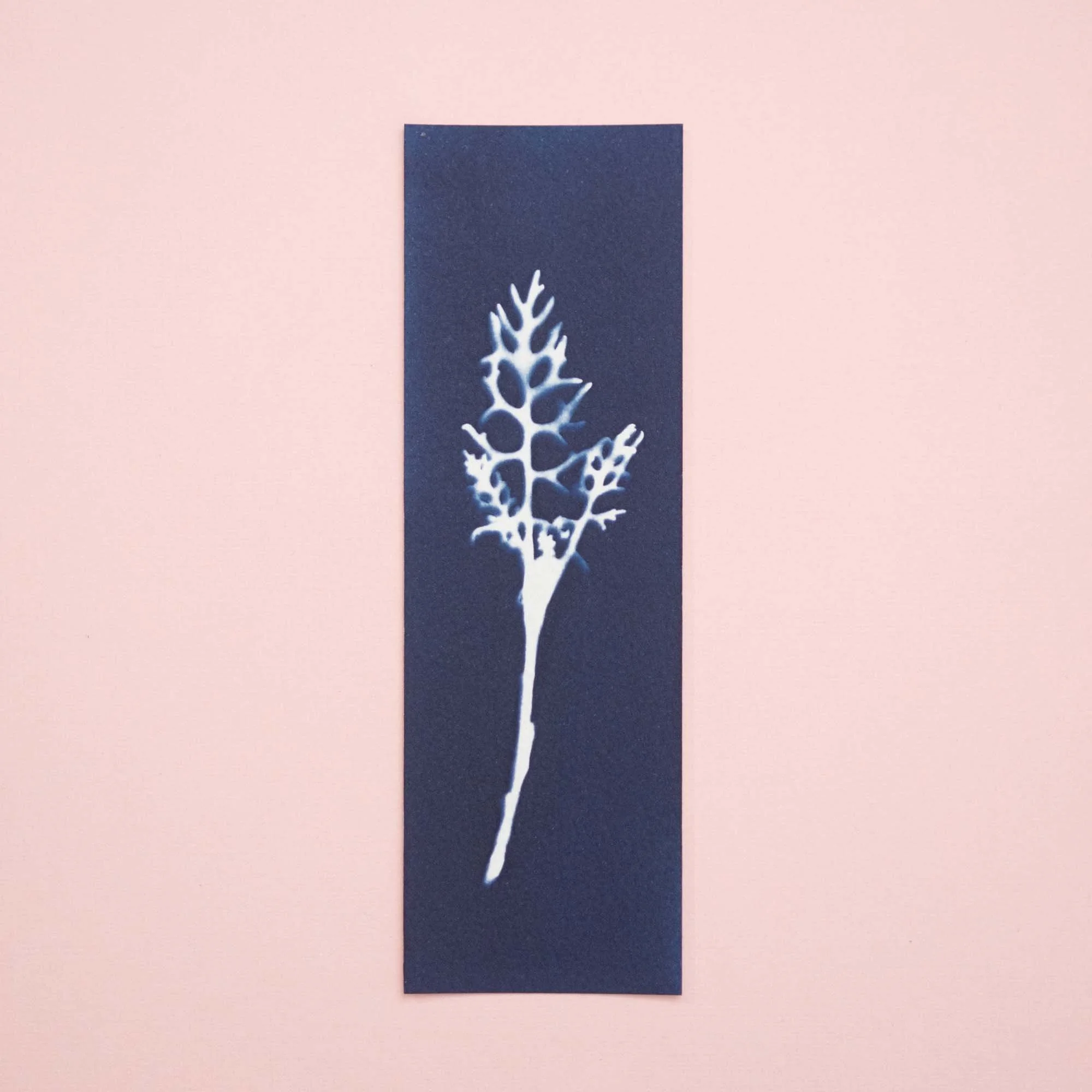 Cyanotype Bookmark