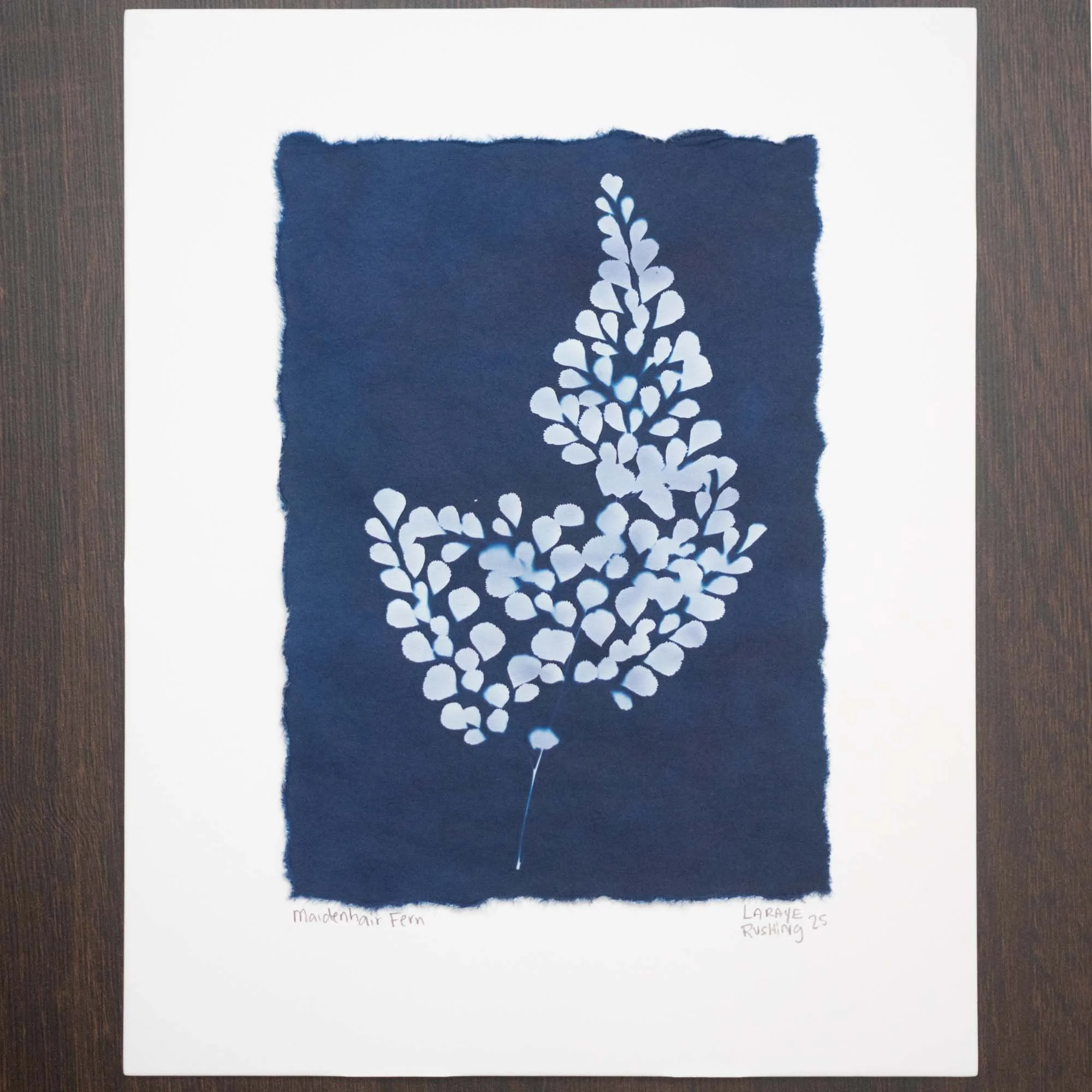Botanical cyanotype