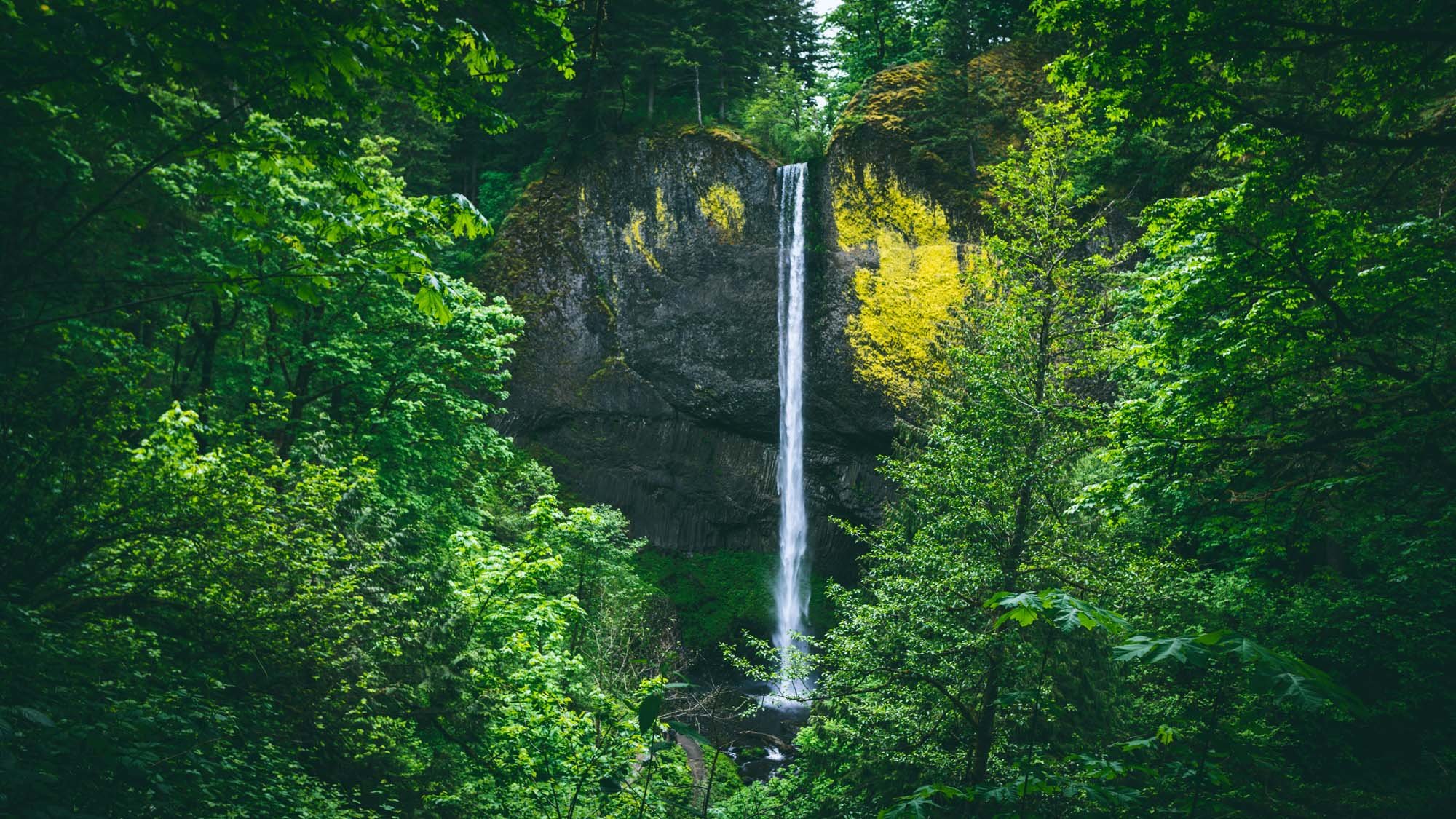 Lower Latourell Falls