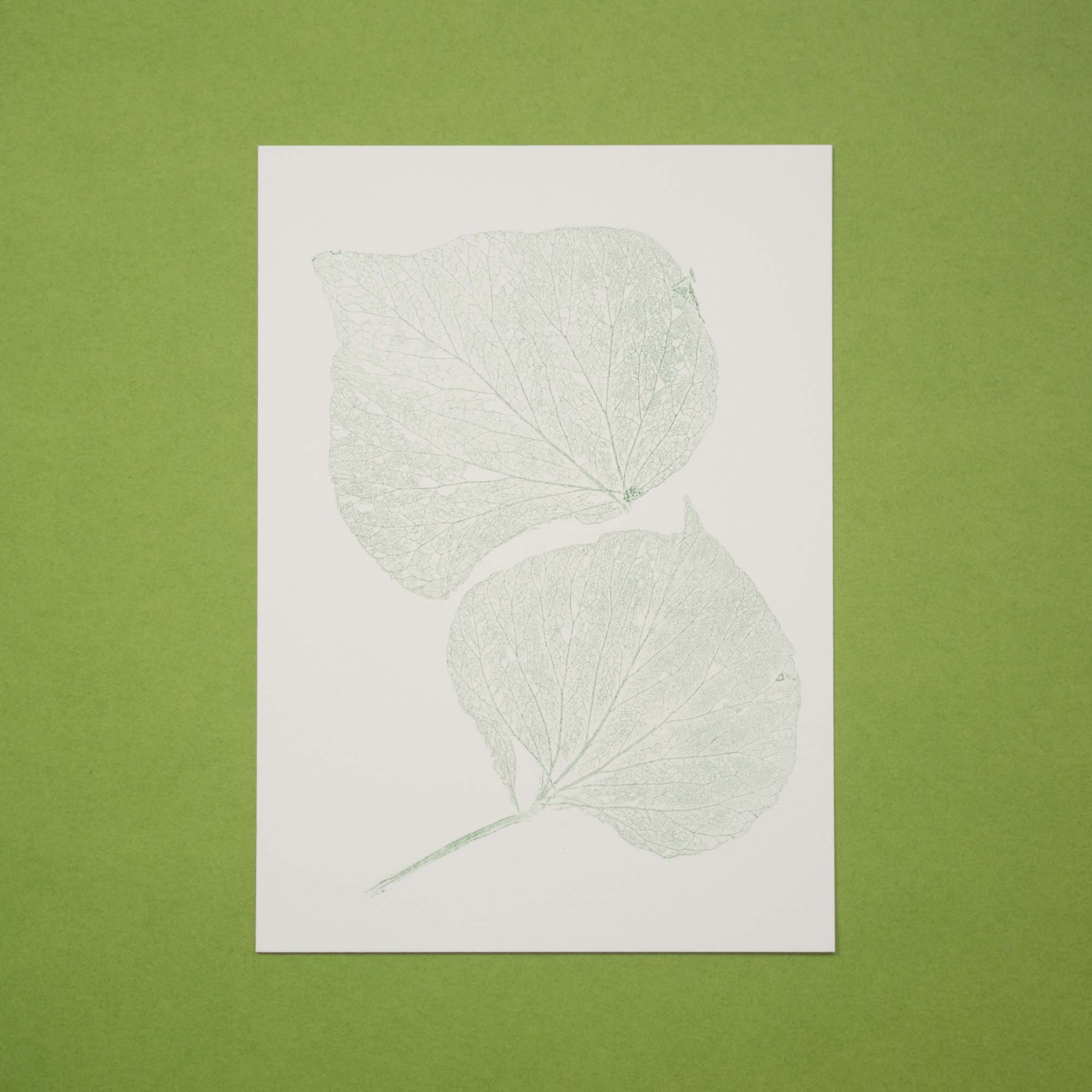 Botanical Monoprint (25AF) (Original)