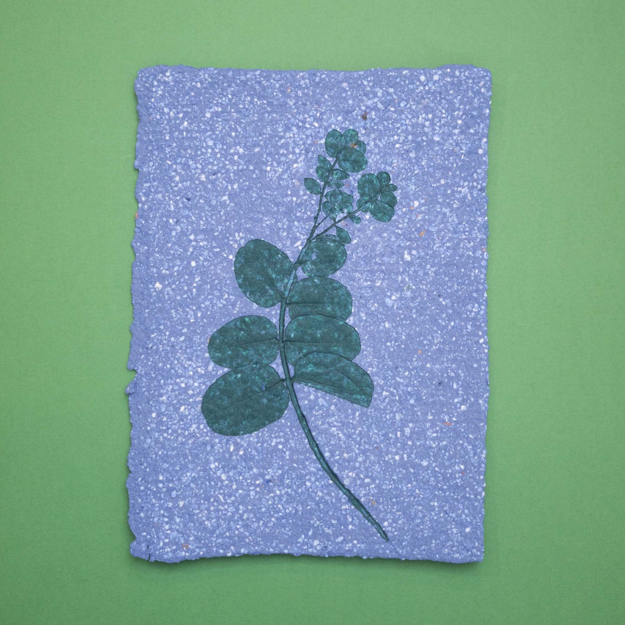 Botanical Monoprint (26B02) (Original)