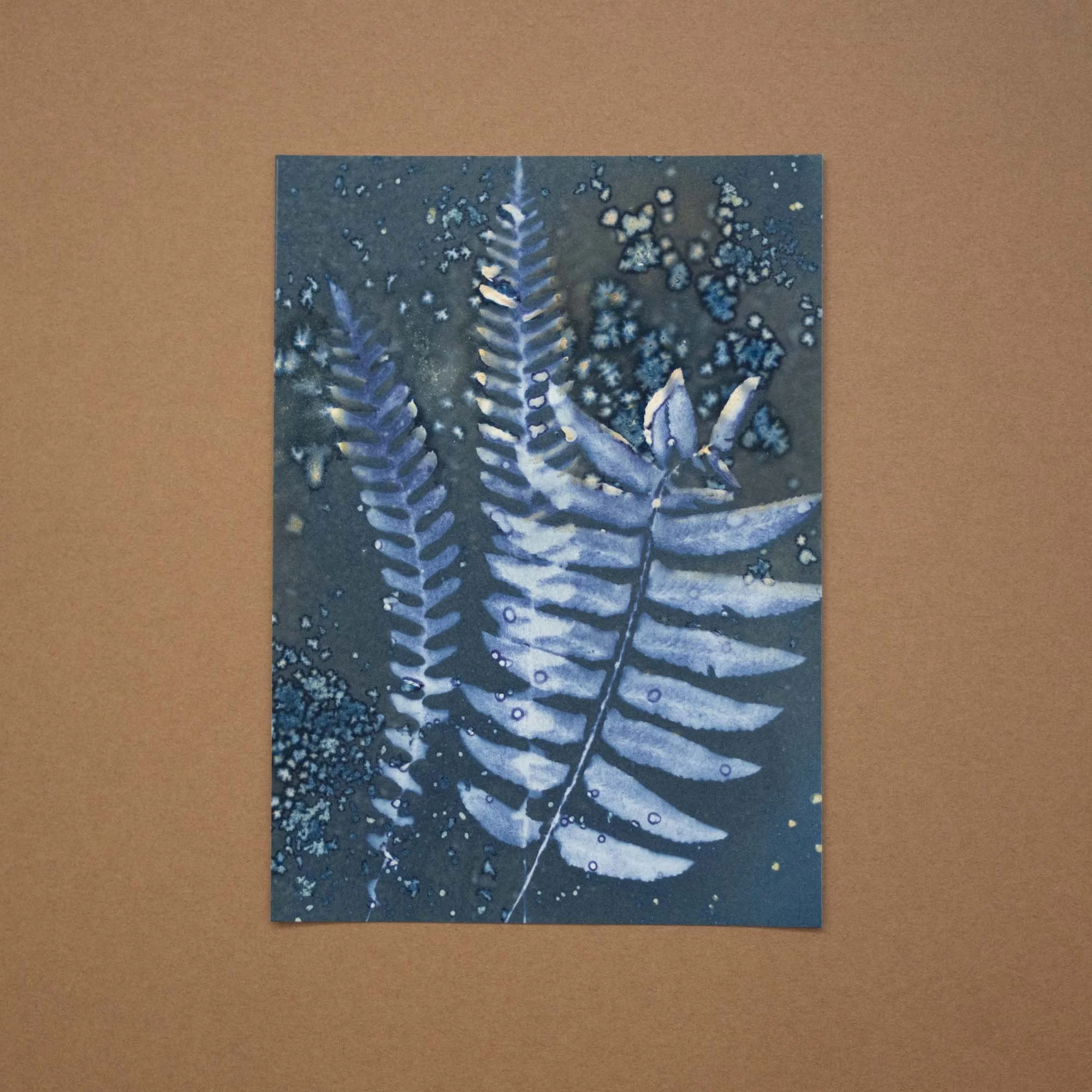 Ferns Wet Cyanotype