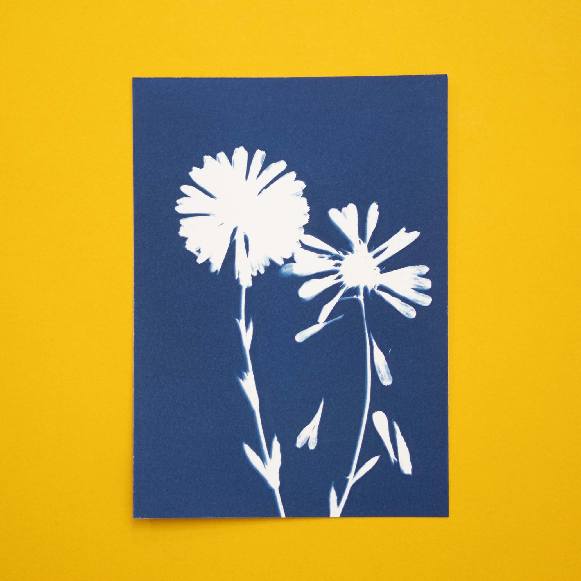 Botanical Cyanotype (25B01) (Original)
