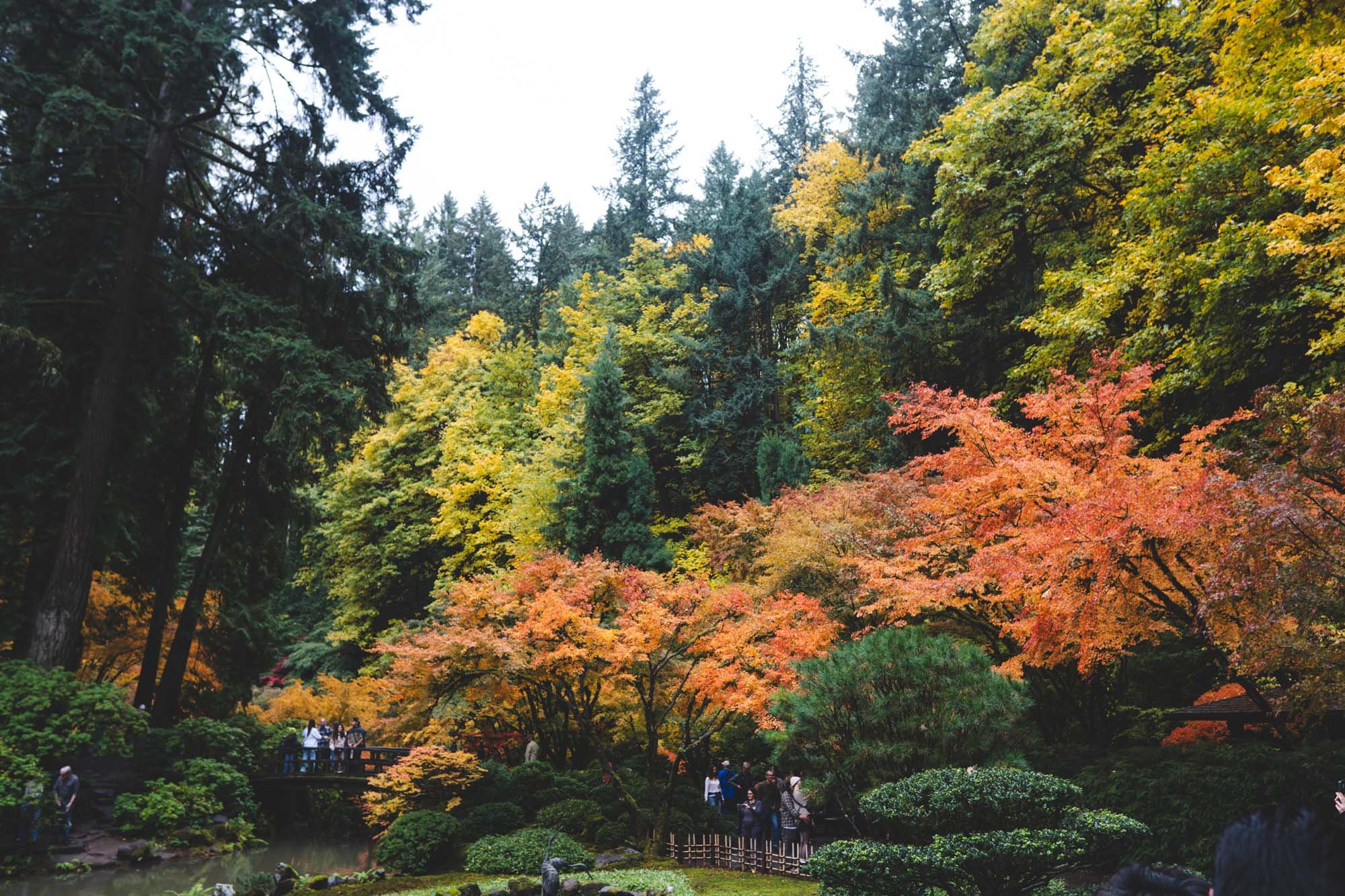 Portland Japanese Garden - 11042023 28 - web.jpg
