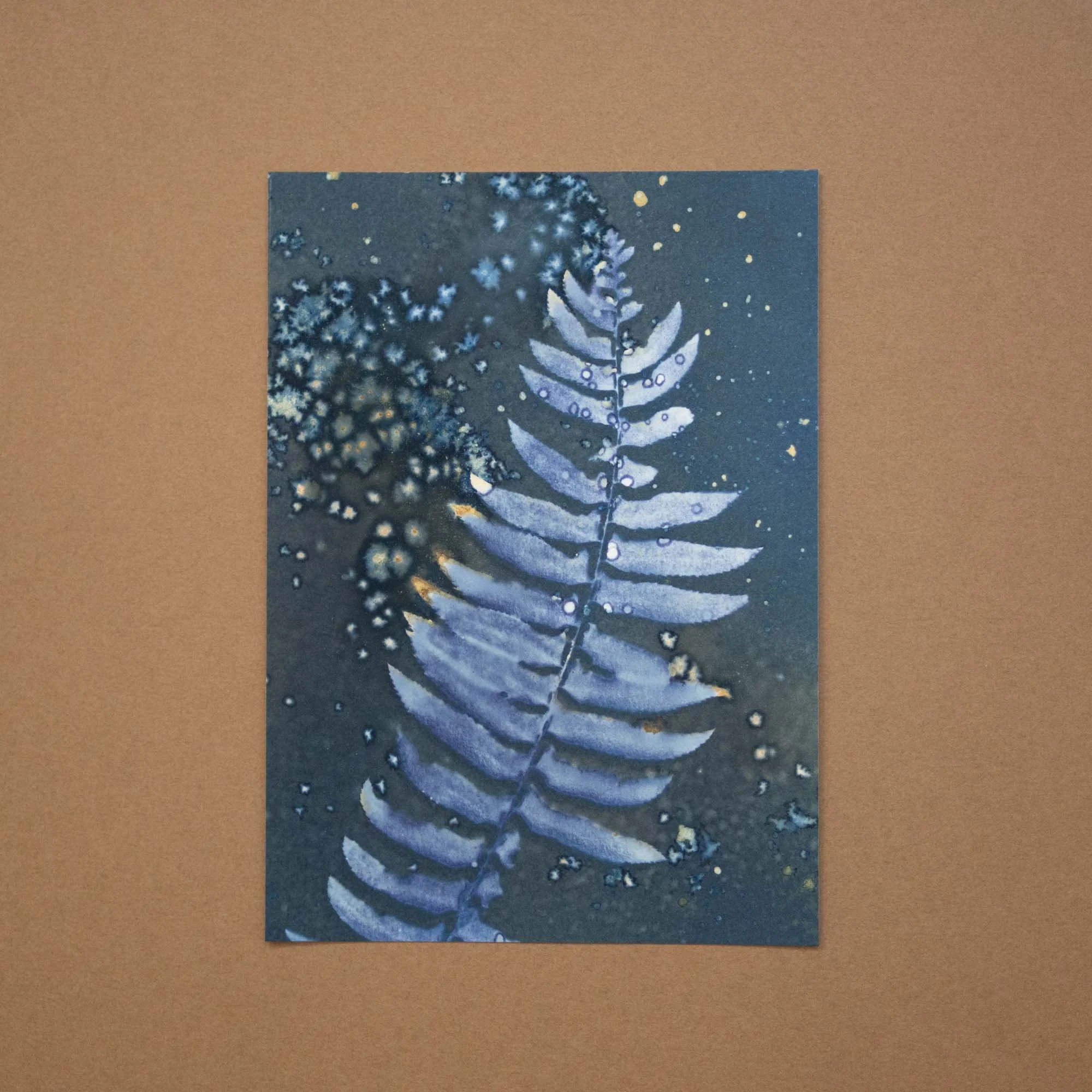 Botanical Cyanotype (24ED) (Original)