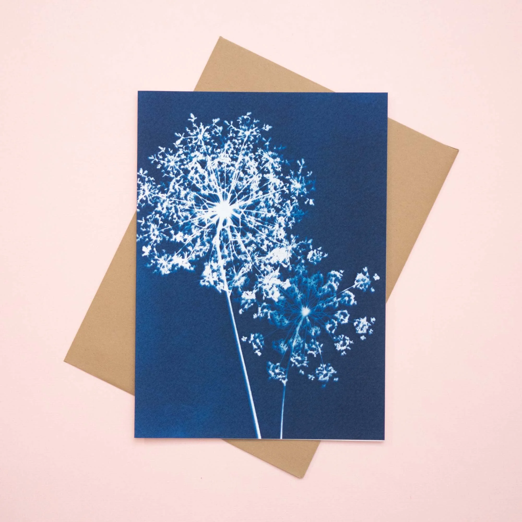 Cyanotype notecard and envelope