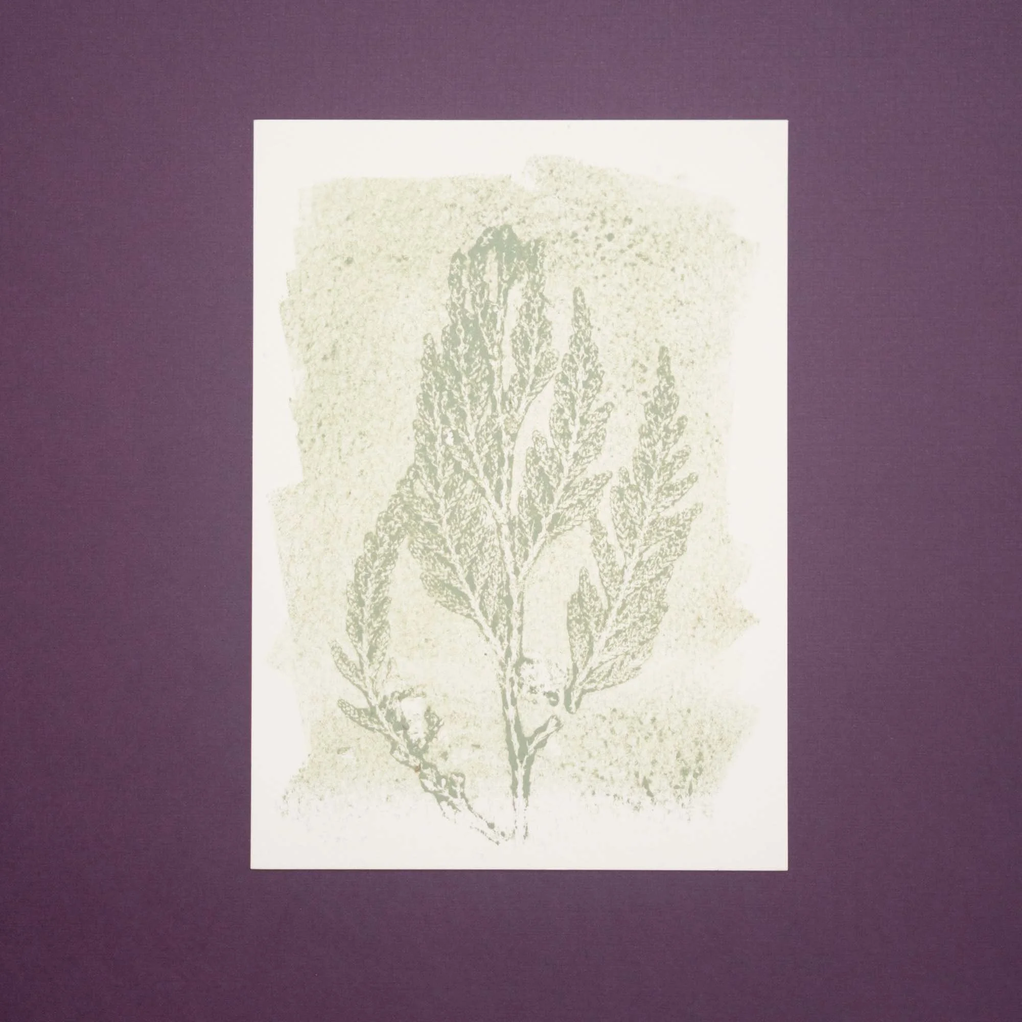 Botanical Monoprint (26D06) (Original)