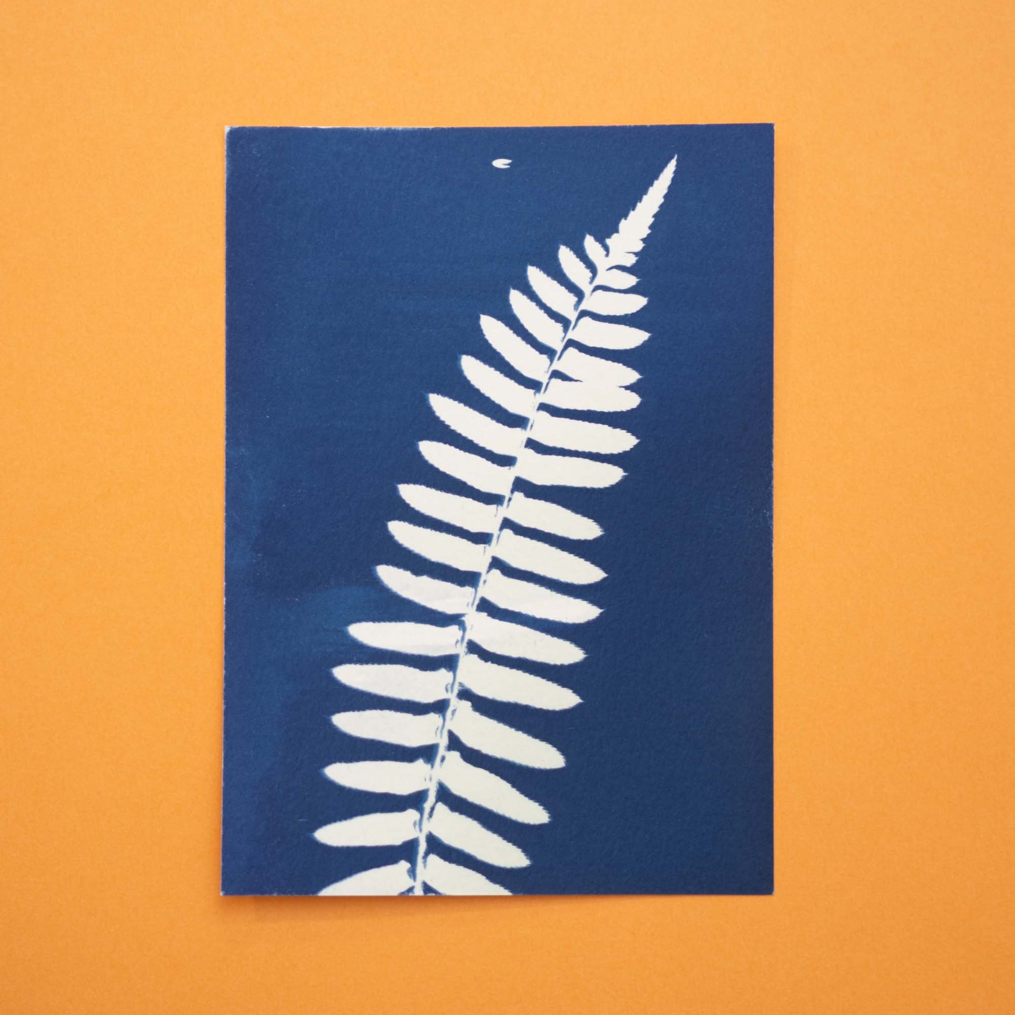 Botanical Cyanotype (25B10) (Original)