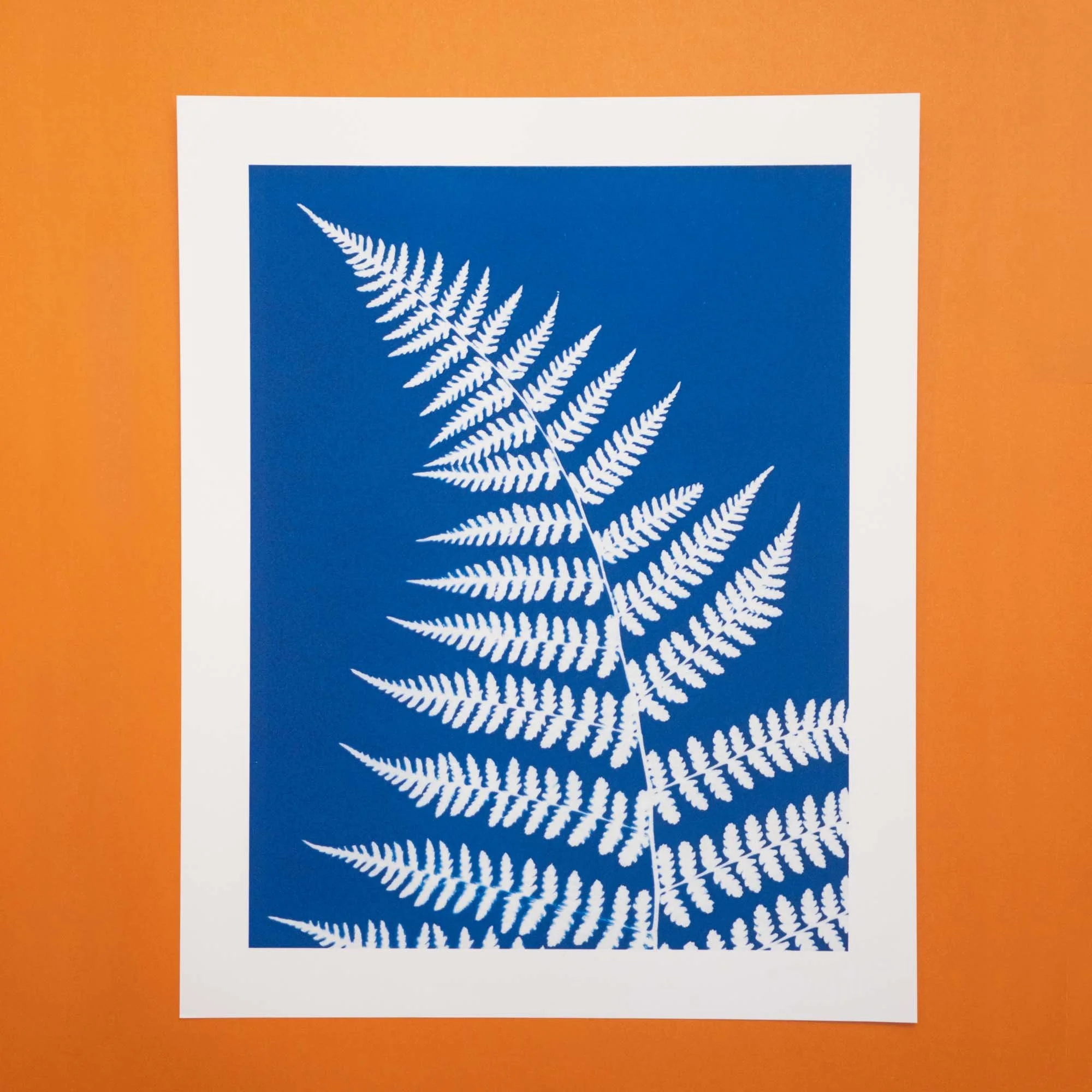 Cyanotype art print