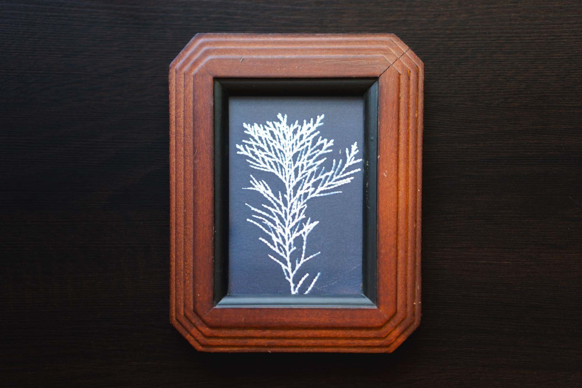 Thrifted Framed Cyanotype
