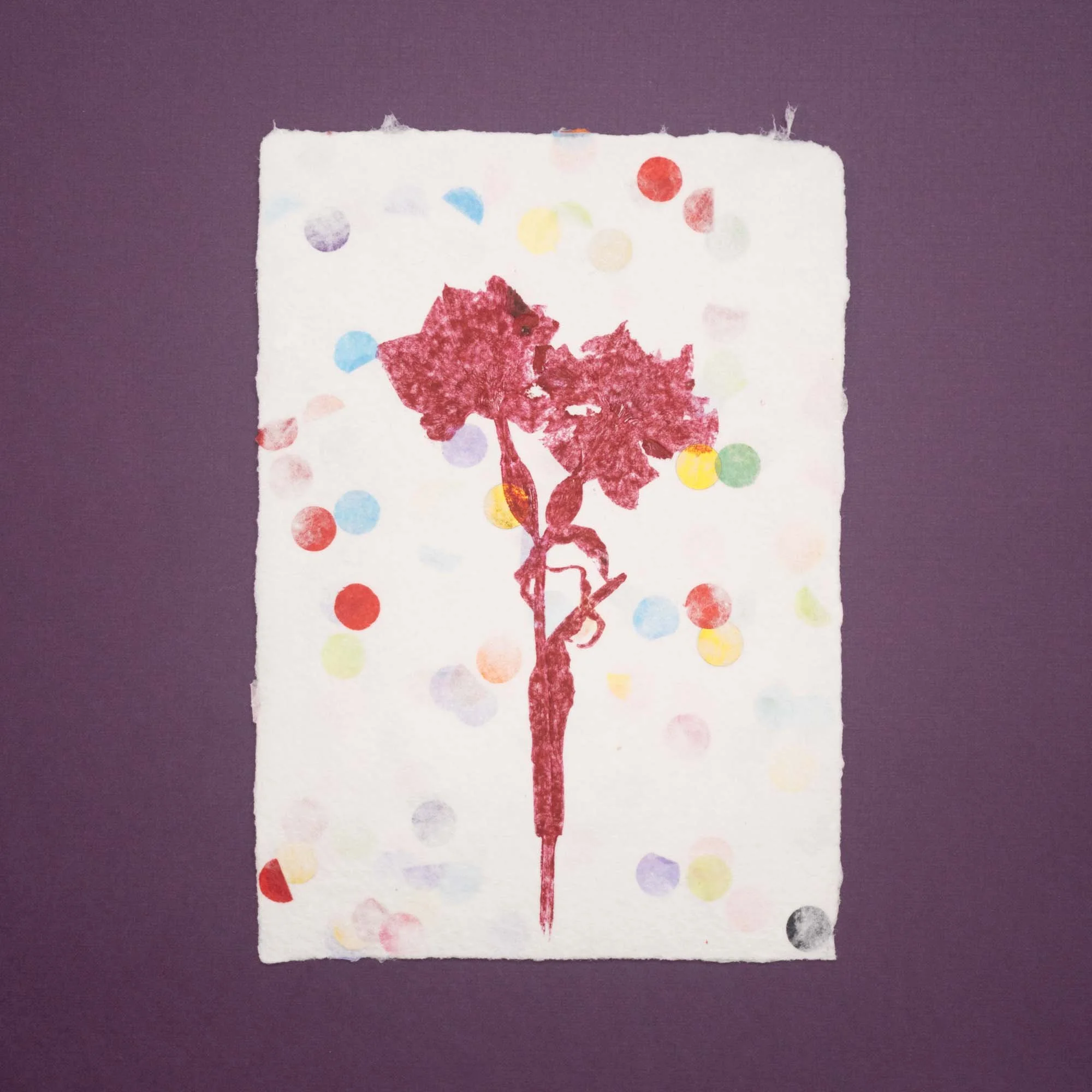 Botanical Monoprint