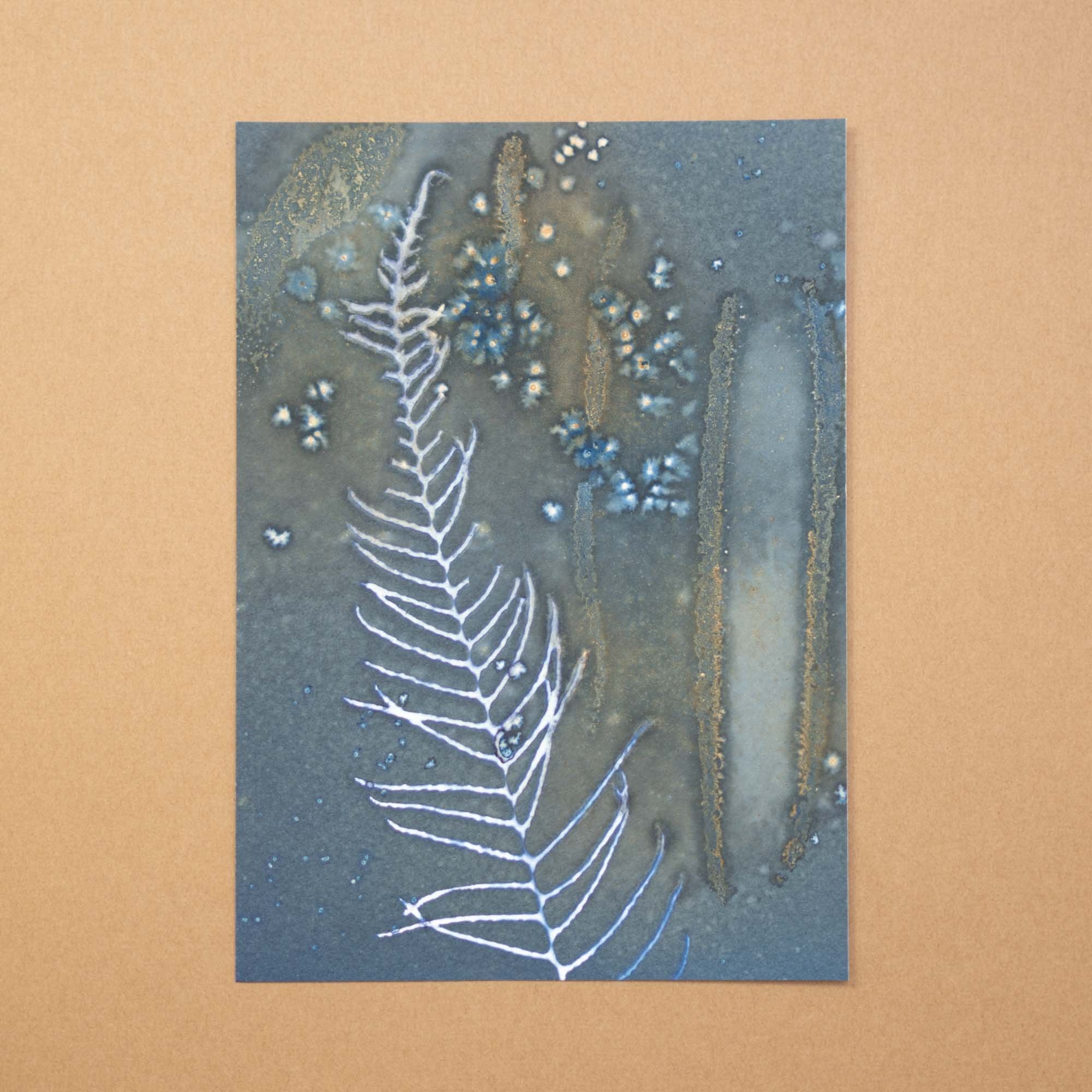 Botanical Cyanotype (25AC) (Original)