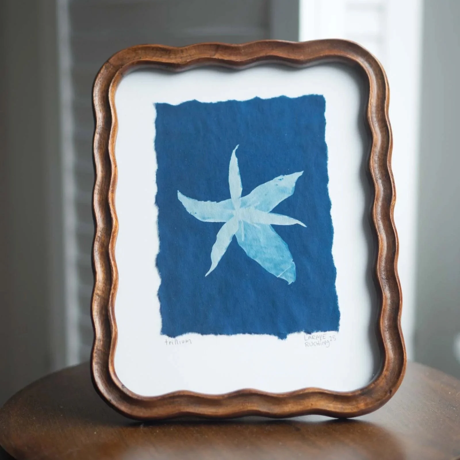 Scalloped+Framed+Cyanotypes+-+2026+-+A04+-+web.jpg