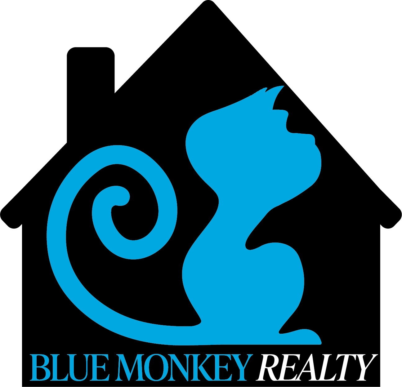 Blue Monkey Realty