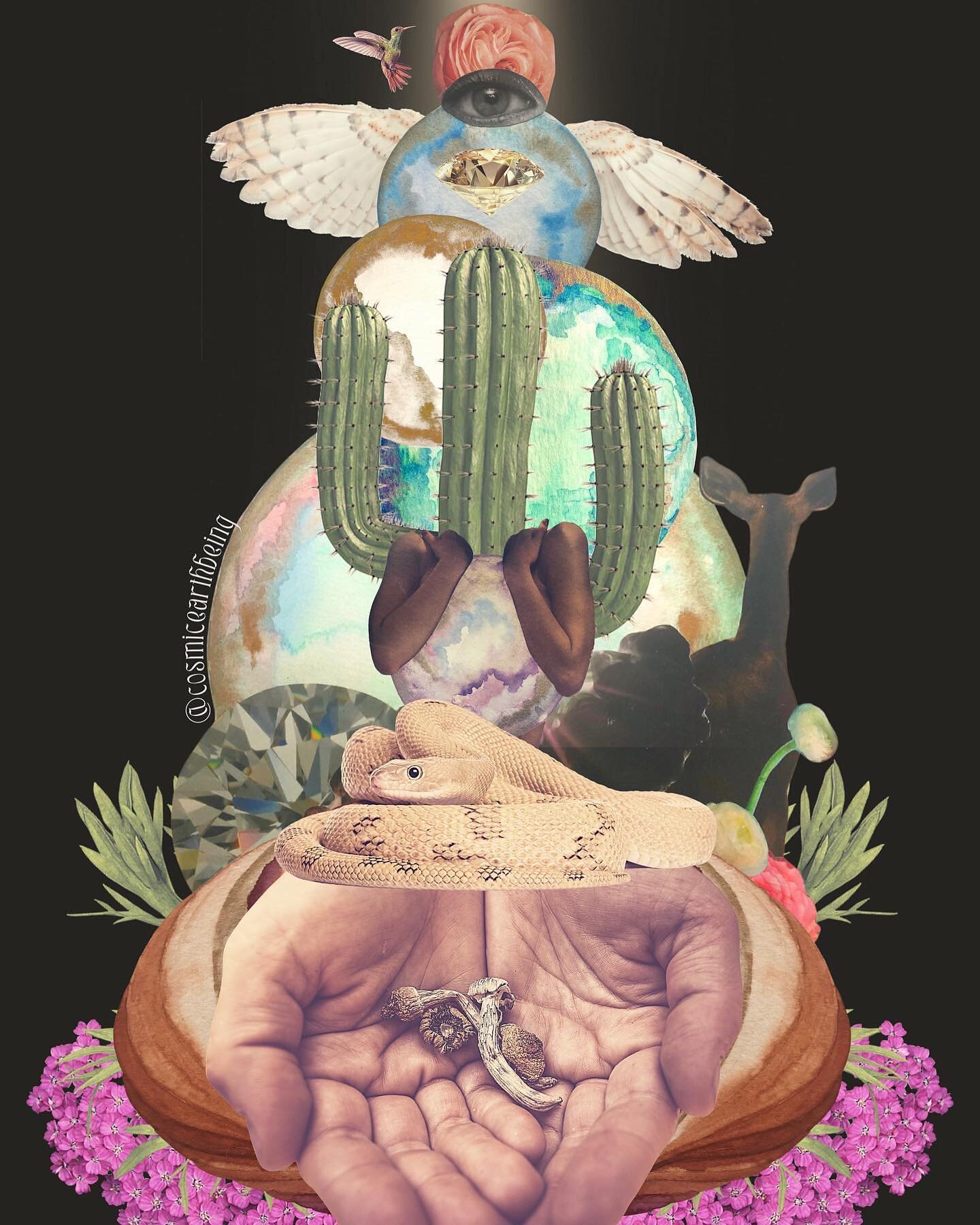 &ldquo;Be a Grounded Channel&rdquo; 🌵

Psychedelics are tools to help us remember. But, the message comes with an instruction, &ldquo;Become Embodied&rdquo;. Embody the information, cosmic messages, and channels as energy for your human being. Share