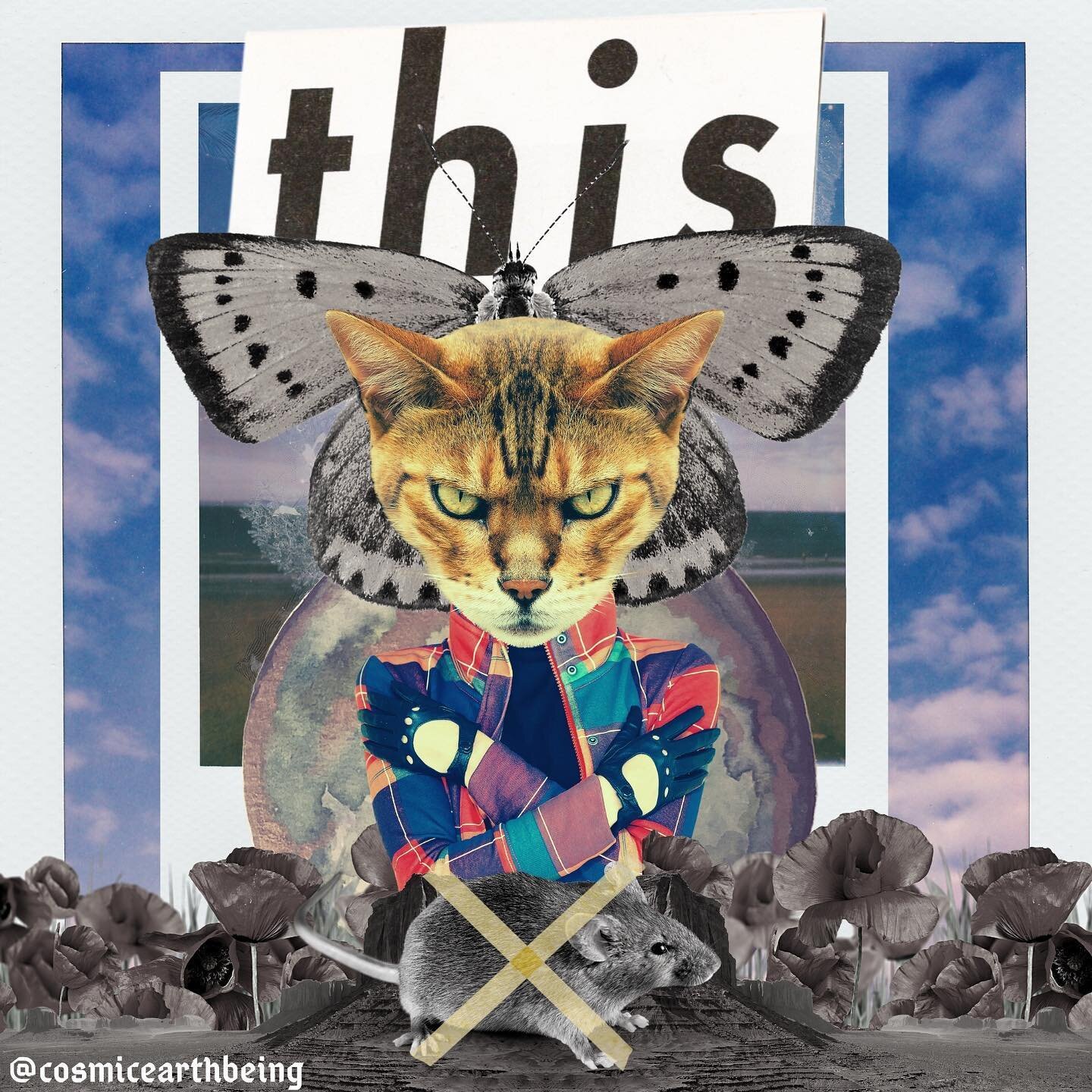 This. 🔮 This is my week in collage form. If it makes no sense to you, don&rsquo;t feel bad, because it makes no f*cking sense to me either. But, it&rsquo;s also kinda fun, and liberating, and feels like coloring outside the lines. It&rsquo;s like th