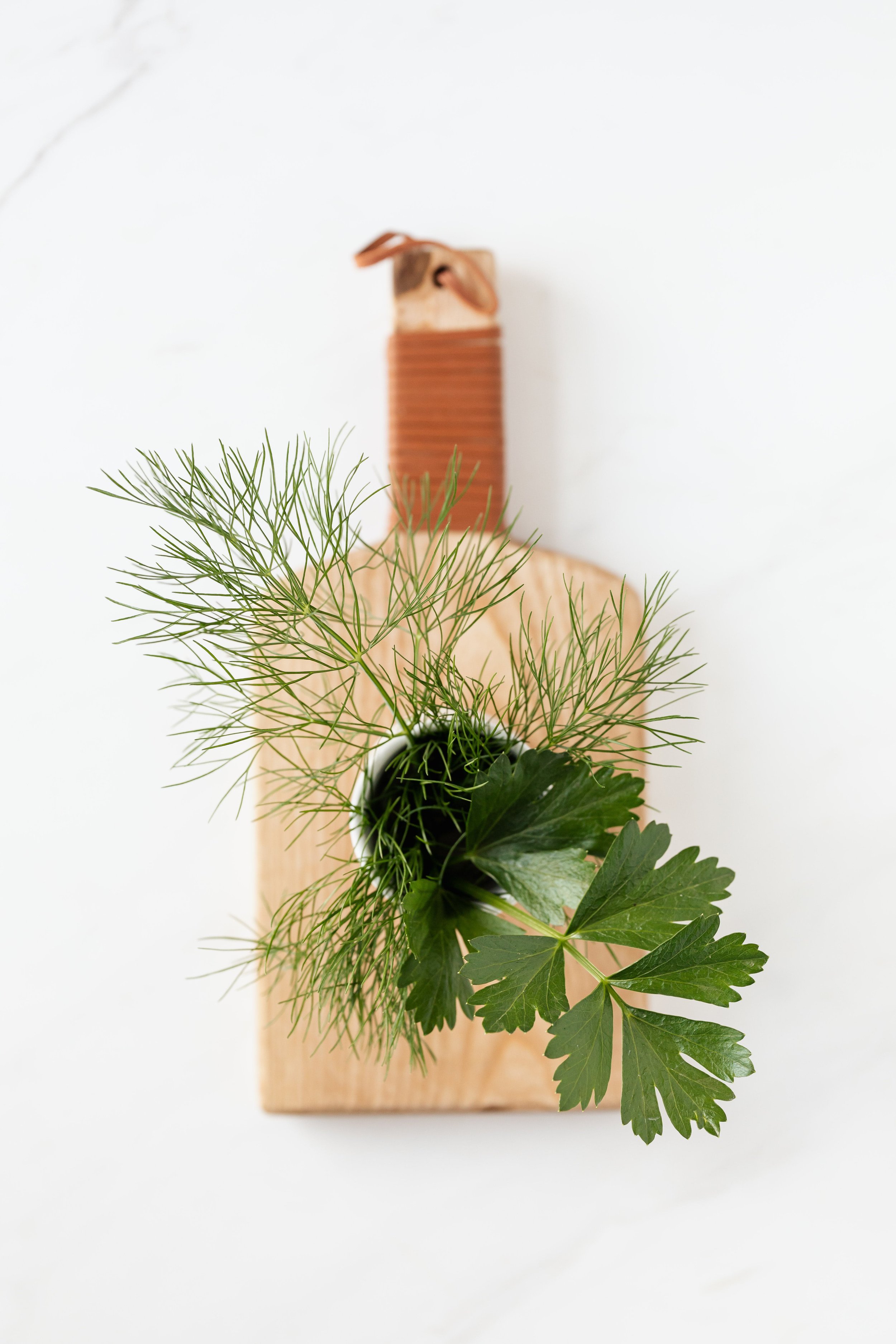 Workshops for Providers