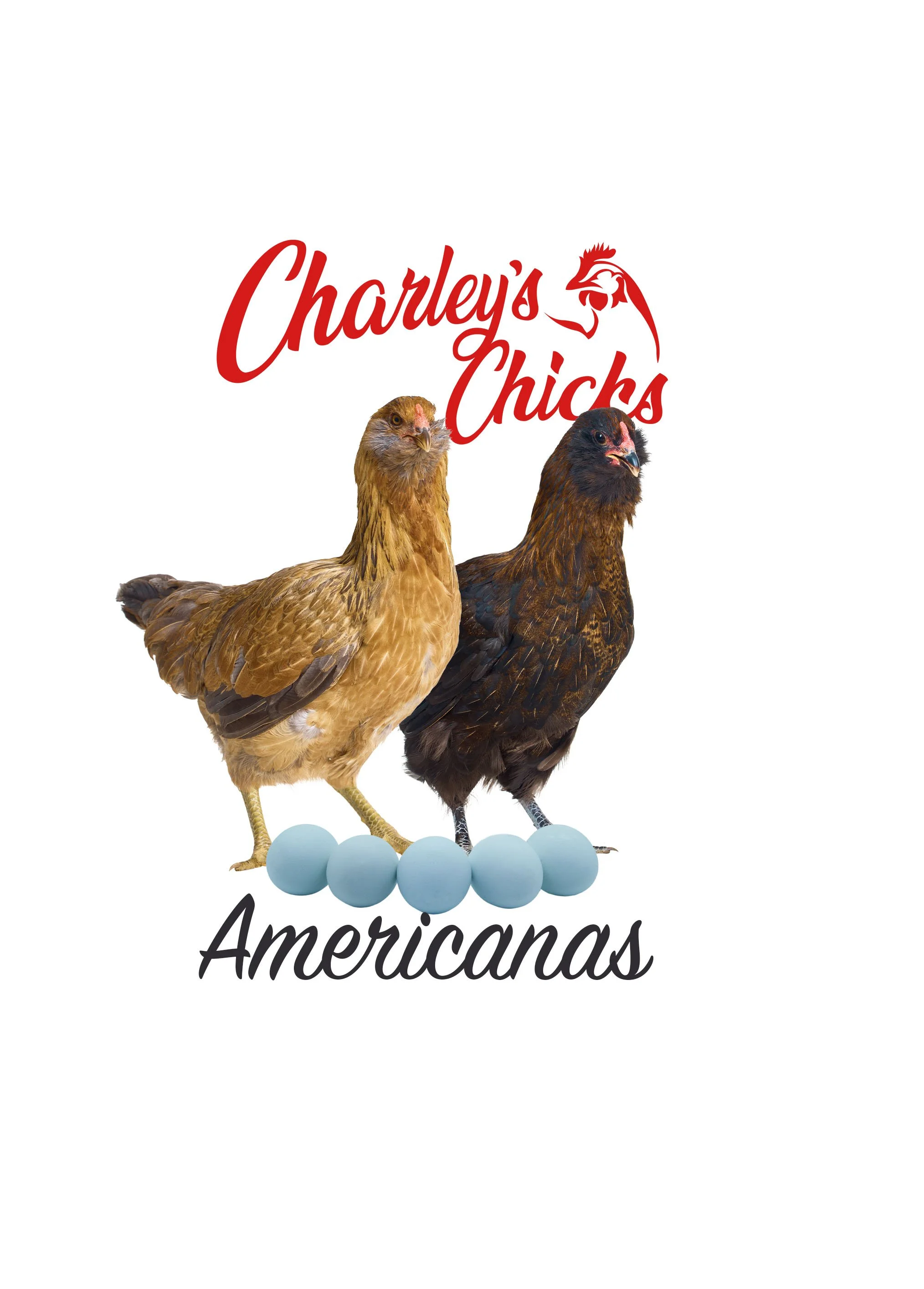 Americana - Feb 21 Pickup