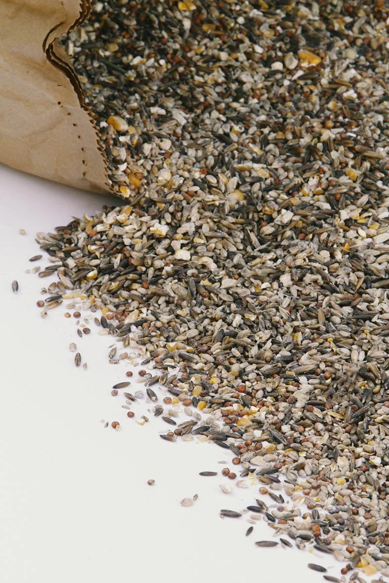 SCRATCH 50LBS BAG.jpg