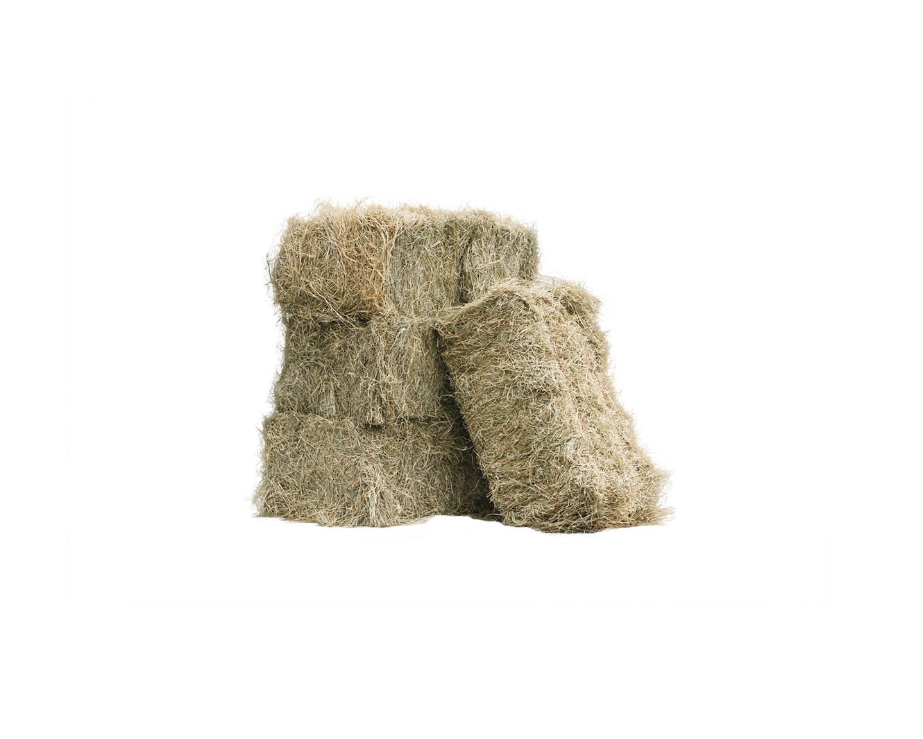 HAY STACK 01.jpg
