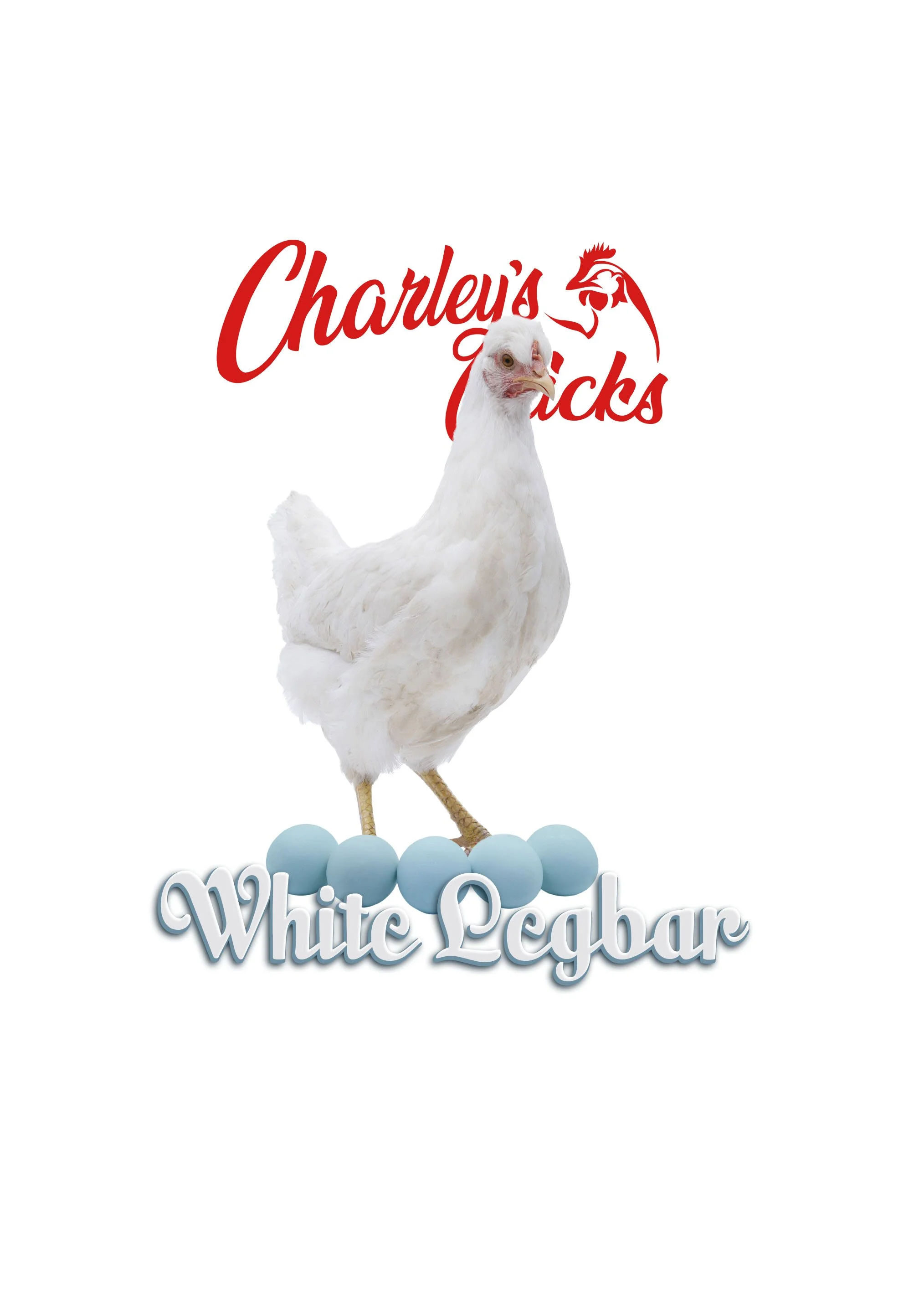 WHITE LEGBAR_RTL.jpg