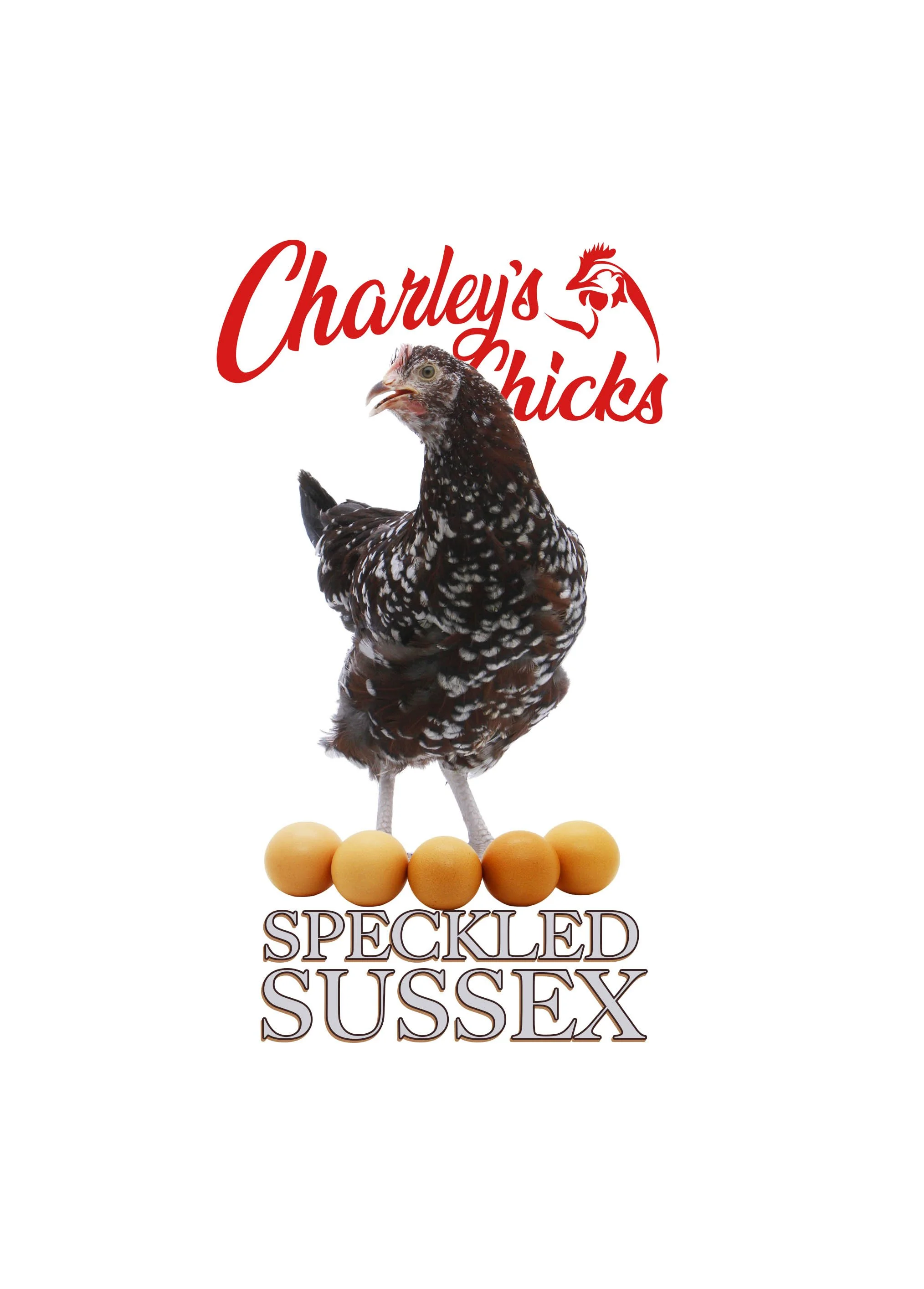 SPECKLED SUSSEX_RTL.jpg