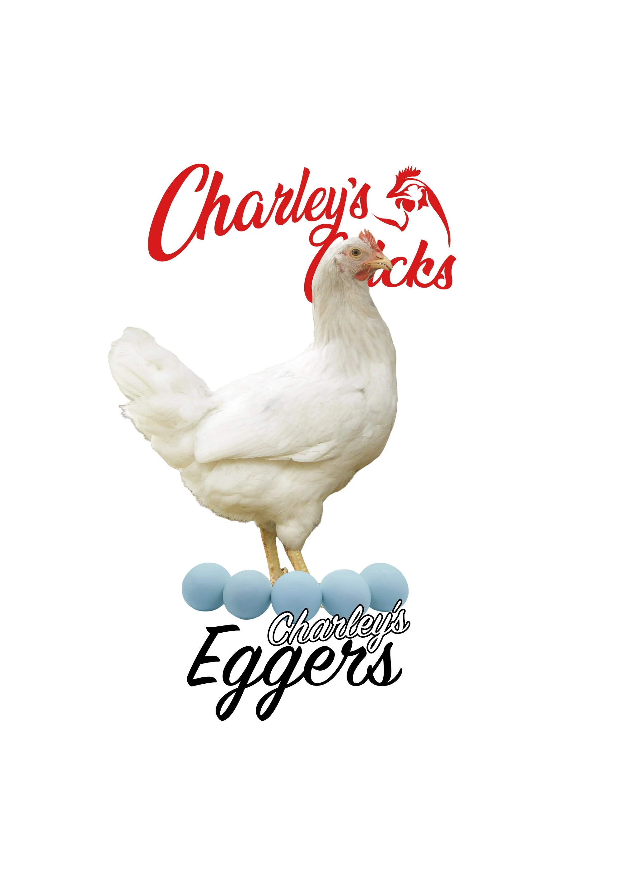 CHARLEYS EGGER_RTL.jpg